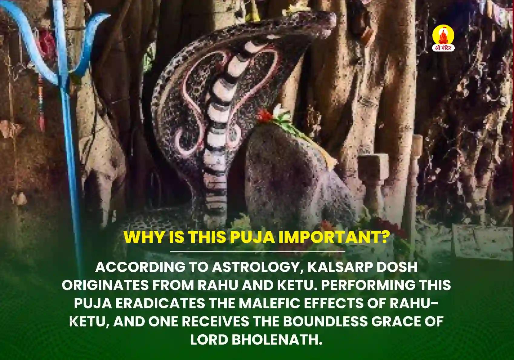 Margashirsha Krishna Navami Special Kalasarpa Dosha Removal Mahapuja and Rudrabhishek