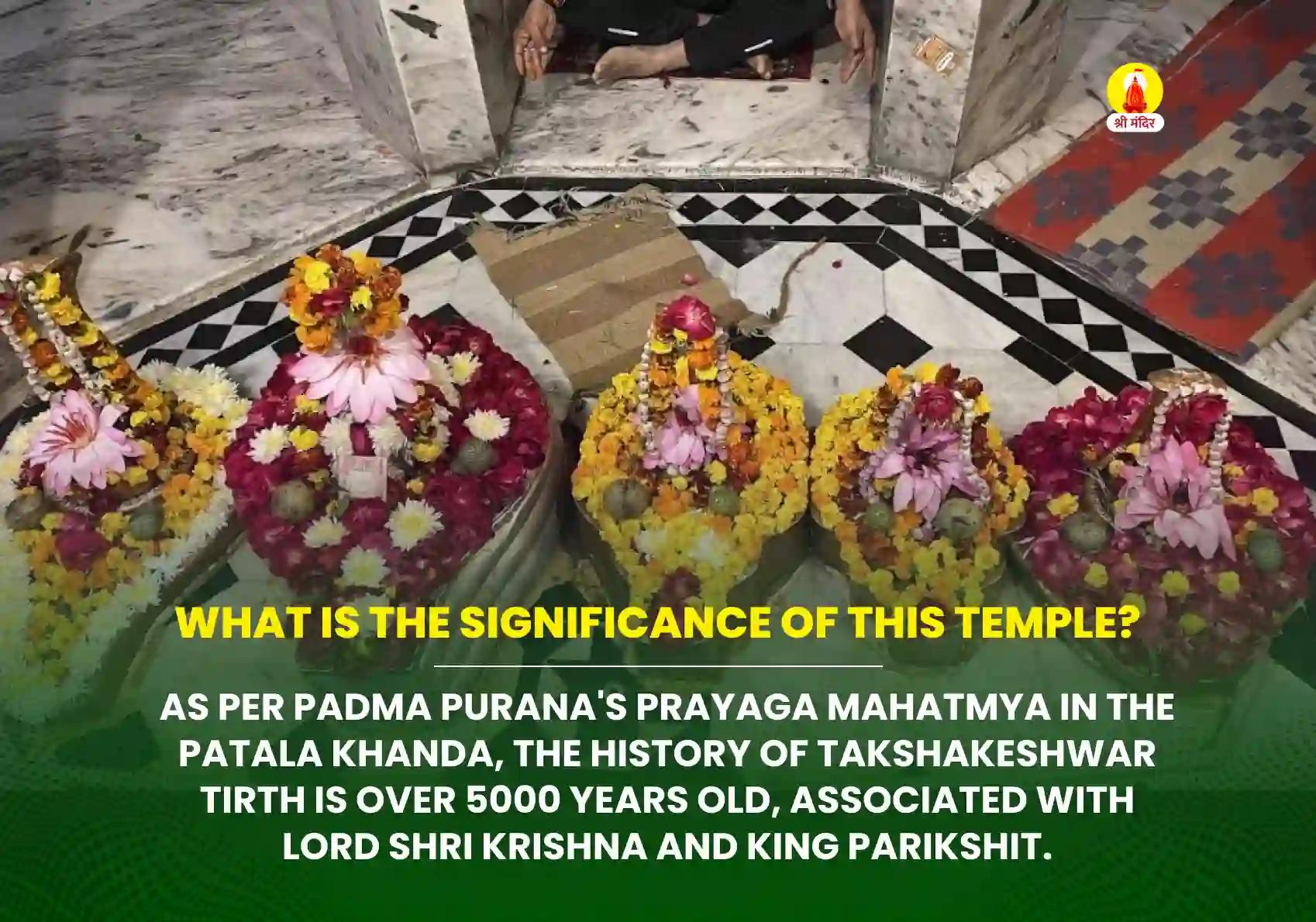 Margashirsha Krishna Navami Special Kalasarpa Dosha Removal Mahapuja and Rudrabhishek
