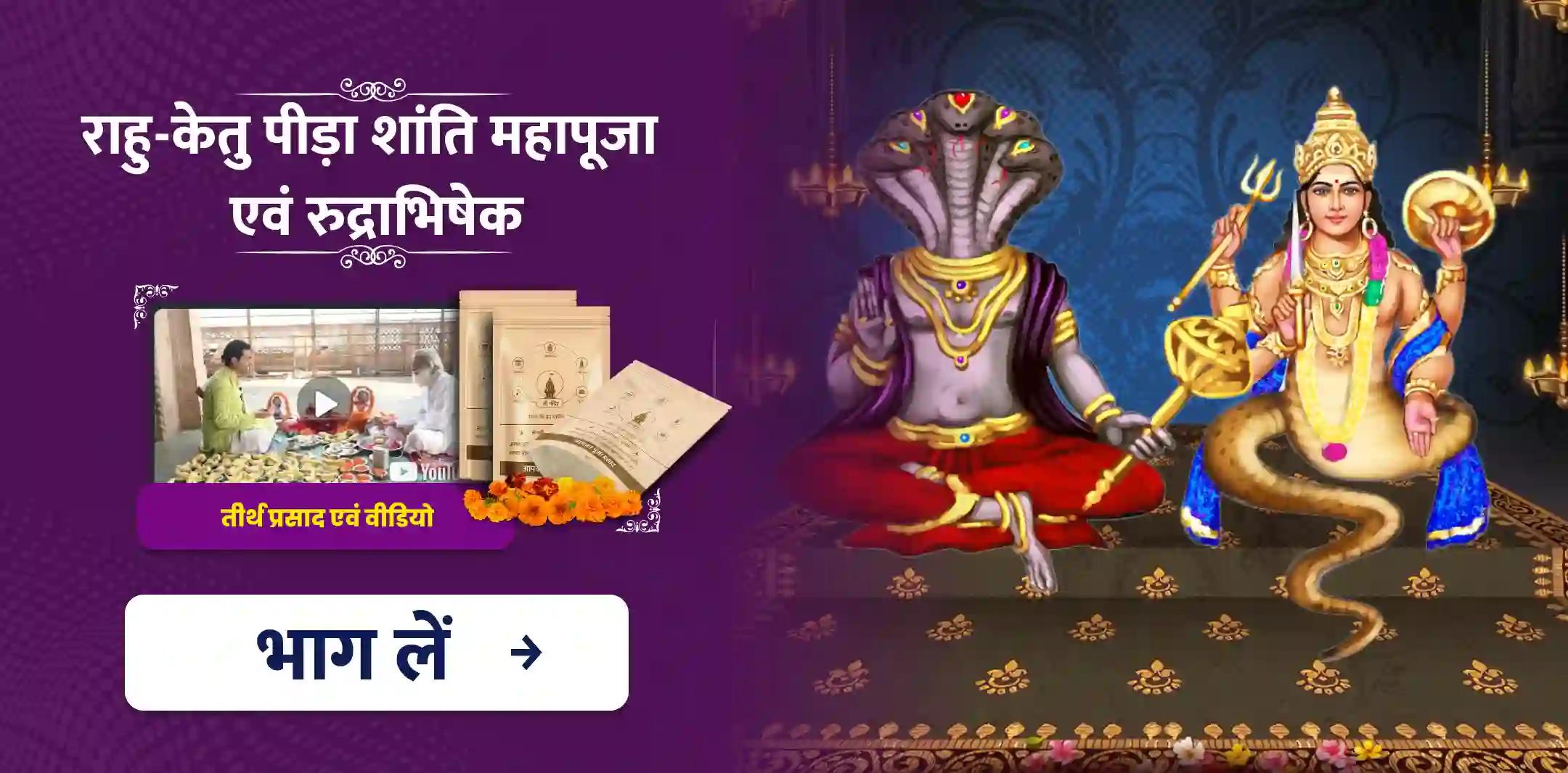 राहु-केतु पीड़ा शांति महापूजा एवं रुद्राभिषेक