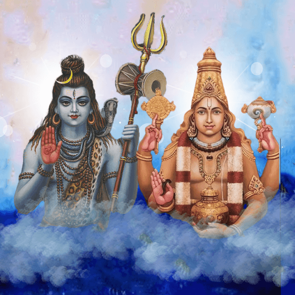 मार्गशीर्ष शुक्ल षष्ठी महामृत्युंजय होमात्मक महापूजा एवं रूद्राभिषेक 