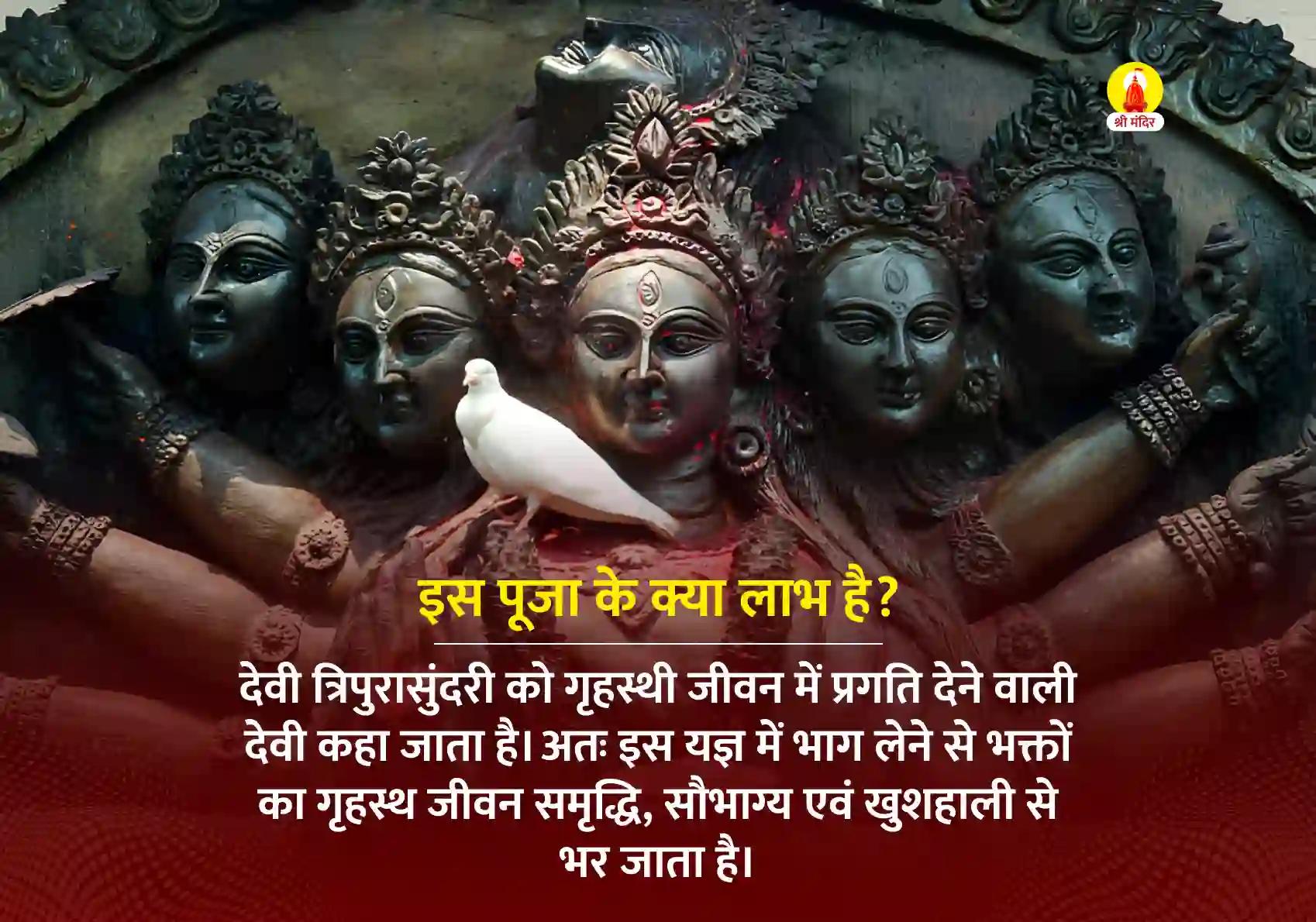 मार्गशीर्ष शुक्ल पूर्णिमा विशेष समृद्धि, सौभाग्य एवं सौंदर्य दायक महा त्रिपुरसुन्दरी महा यज्ञ