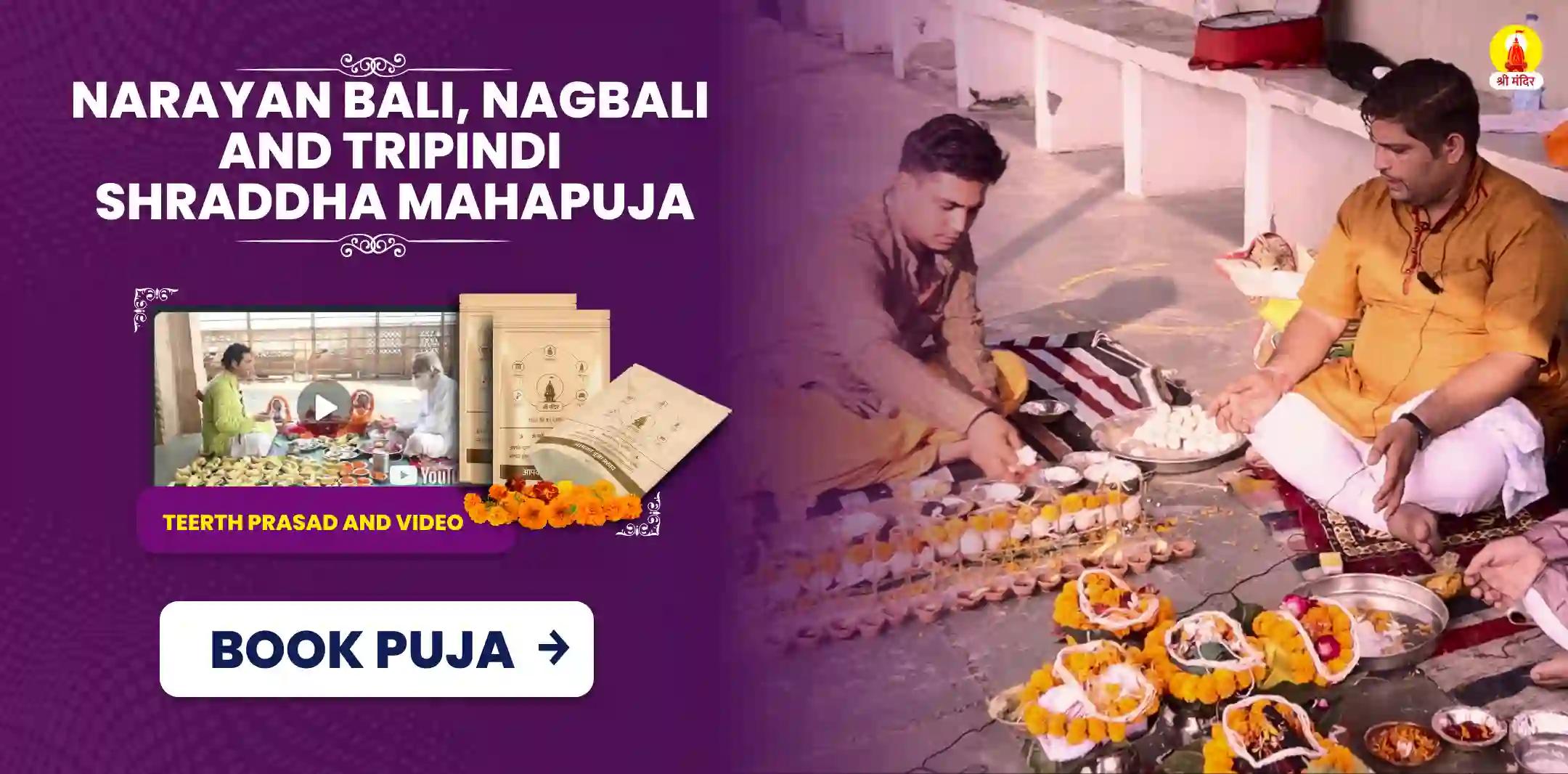 Narayan Bali, Naag Bali evam Tripindi shraddh