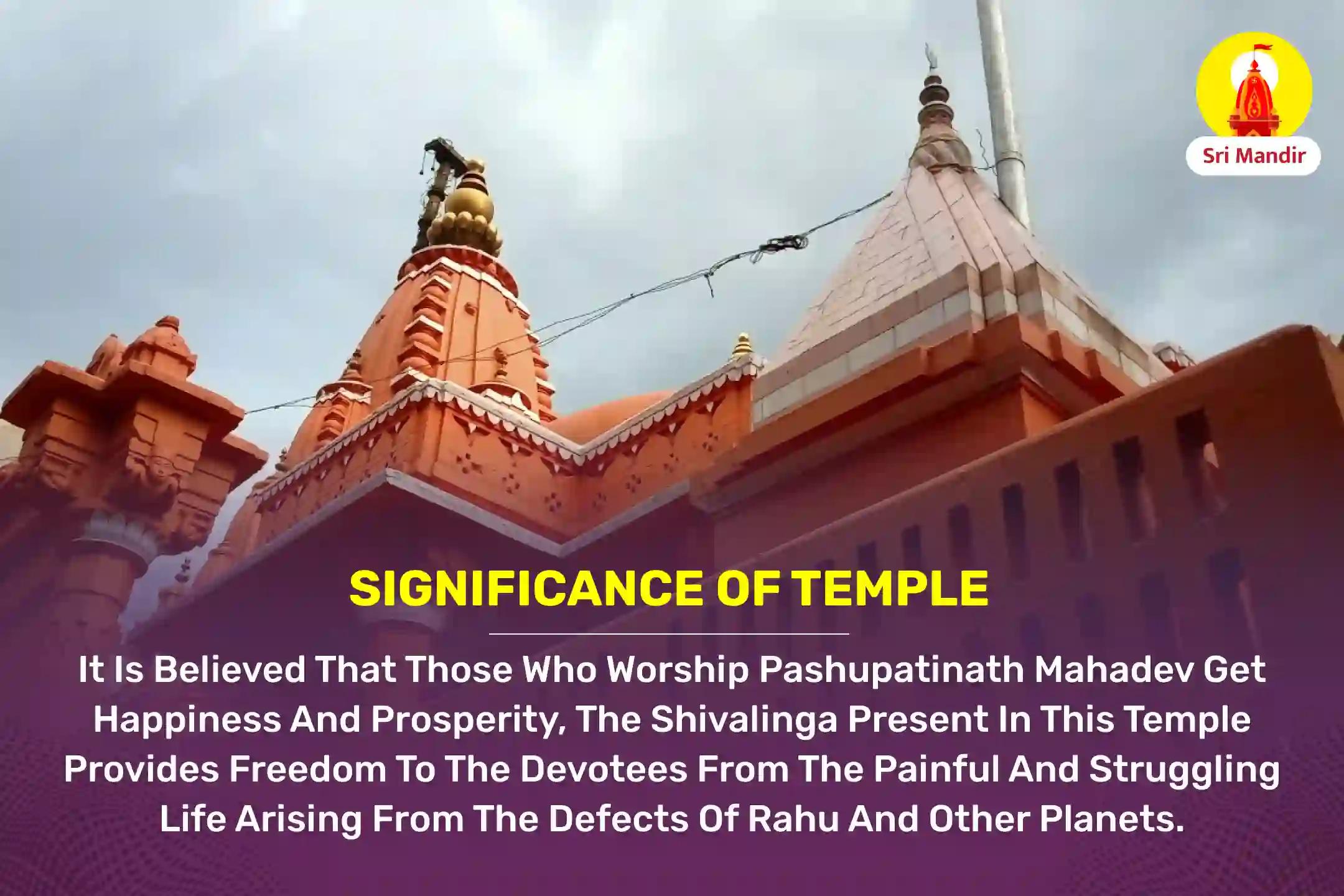Pausha Krishna Pratipada Rahu - Ketu Peeda Shanti  Mahapuja and Rudrabhishek