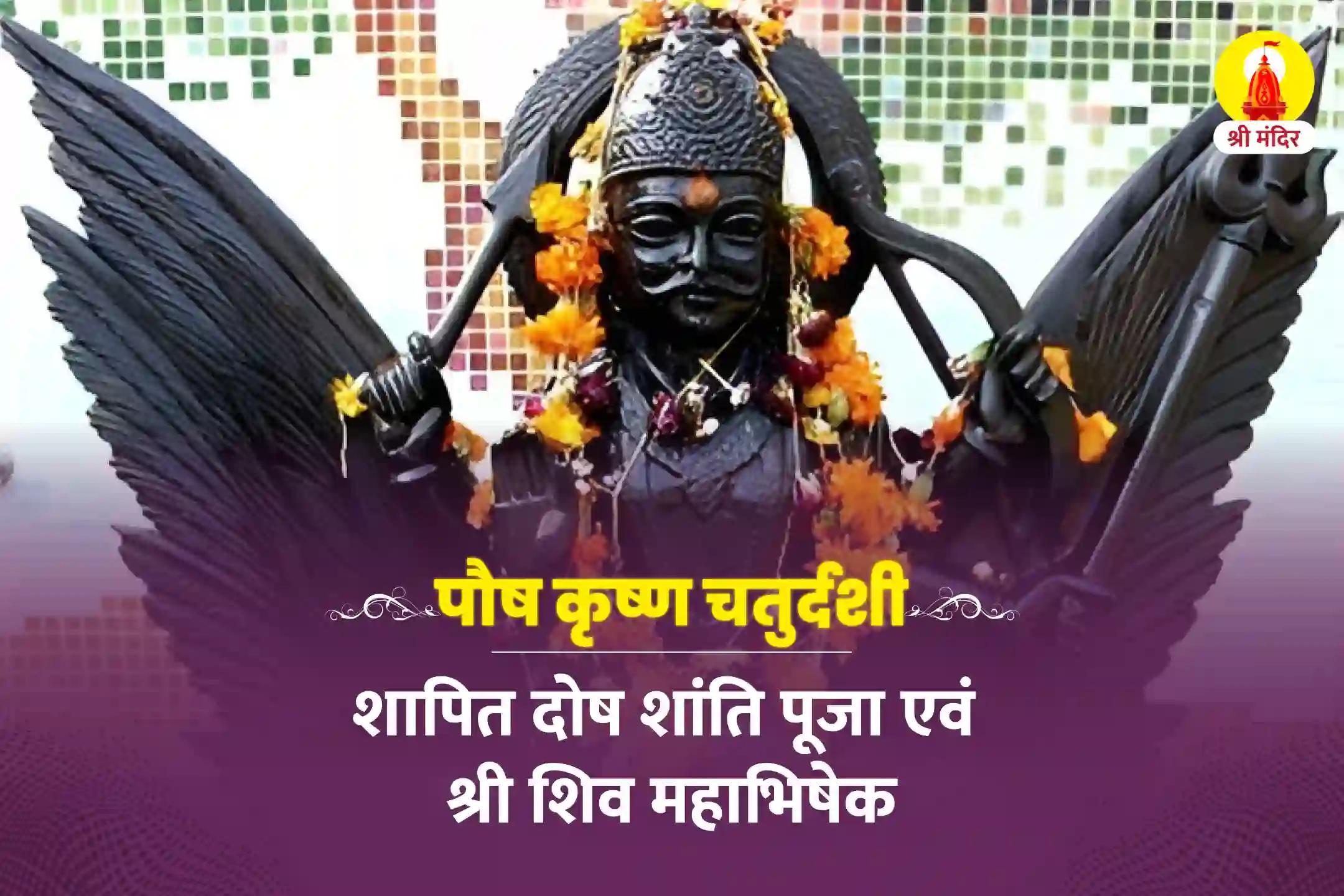 पौष कृष्ण चतुर्दशी विशेष शापित दोष शांति पूजा एवं श्री शिव महाभिषेक