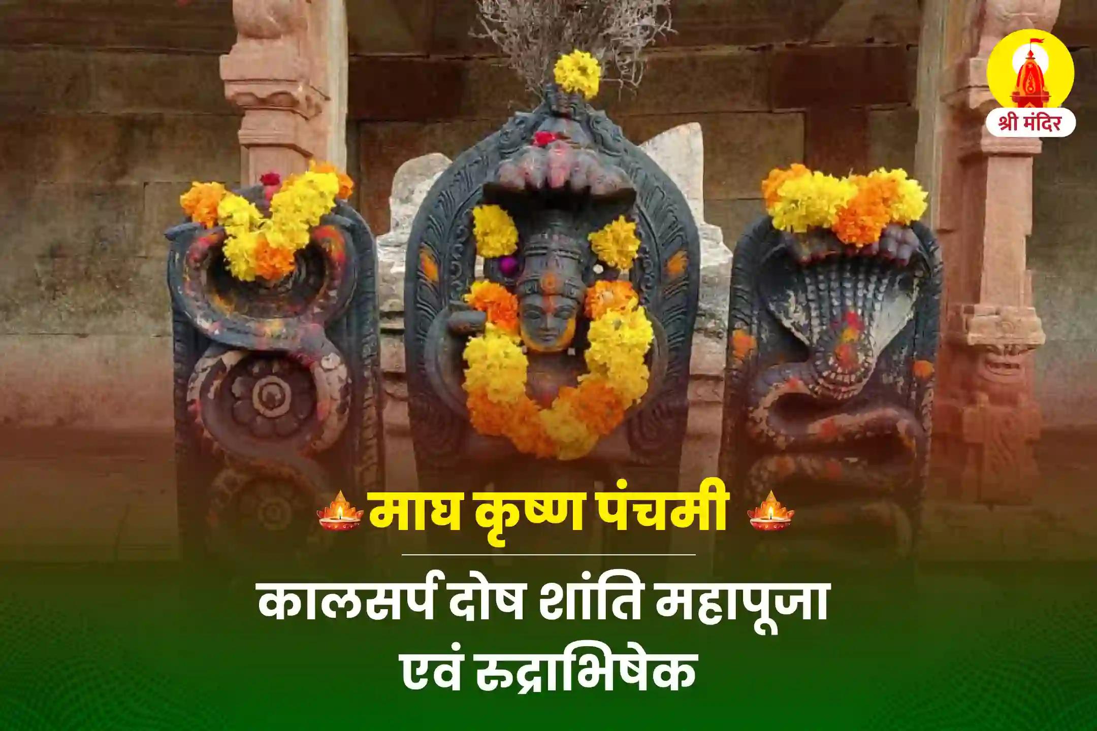 माघ कृष्ण पंचमी विशेष कालसर्प दोष शांति महापूजा एवं रुद्राभिषेक 