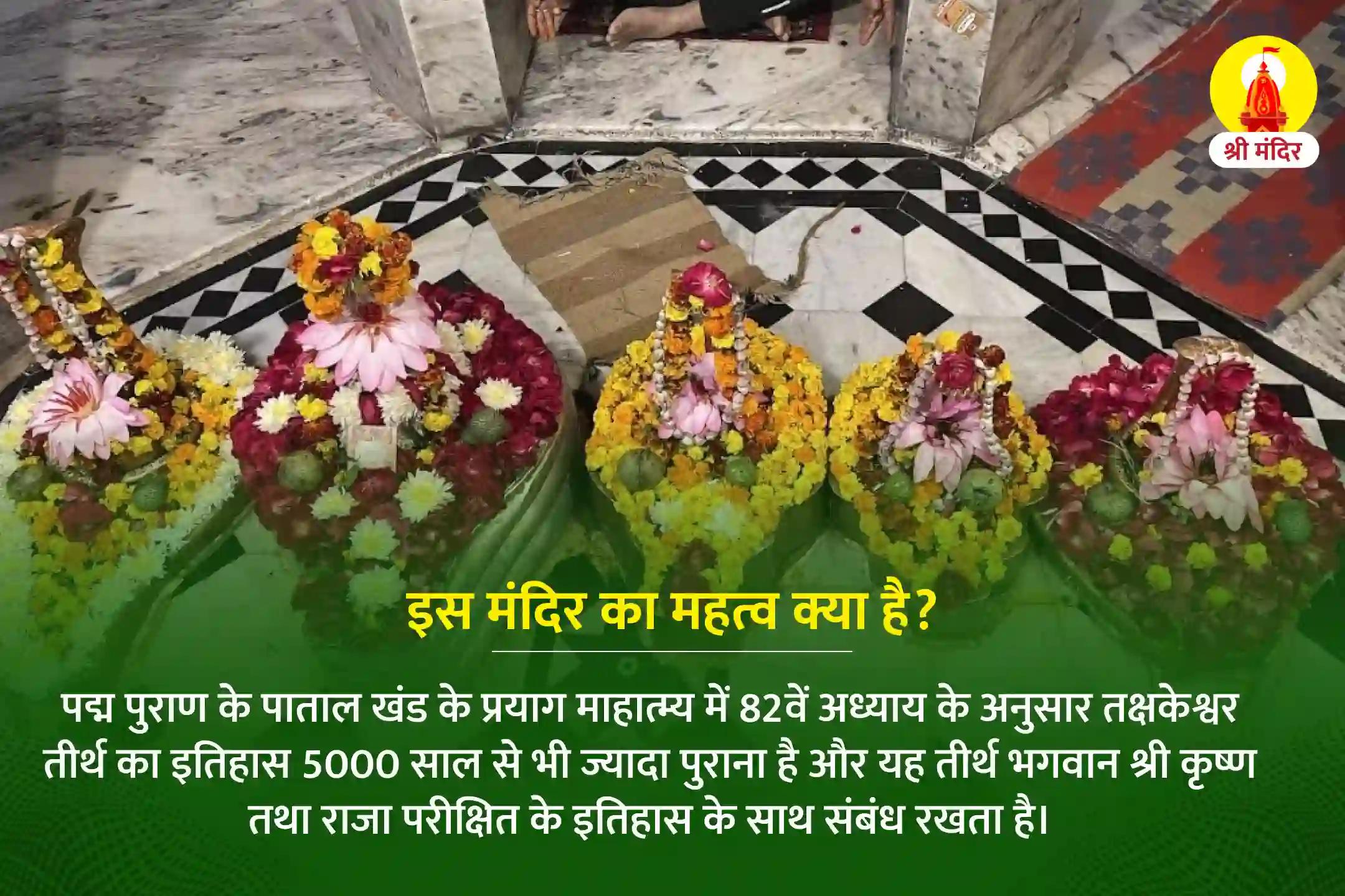 माघ कृष्ण पंचमी विशेष कालसर्प दोष शांति महापूजा एवं रुद्राभिषेक 