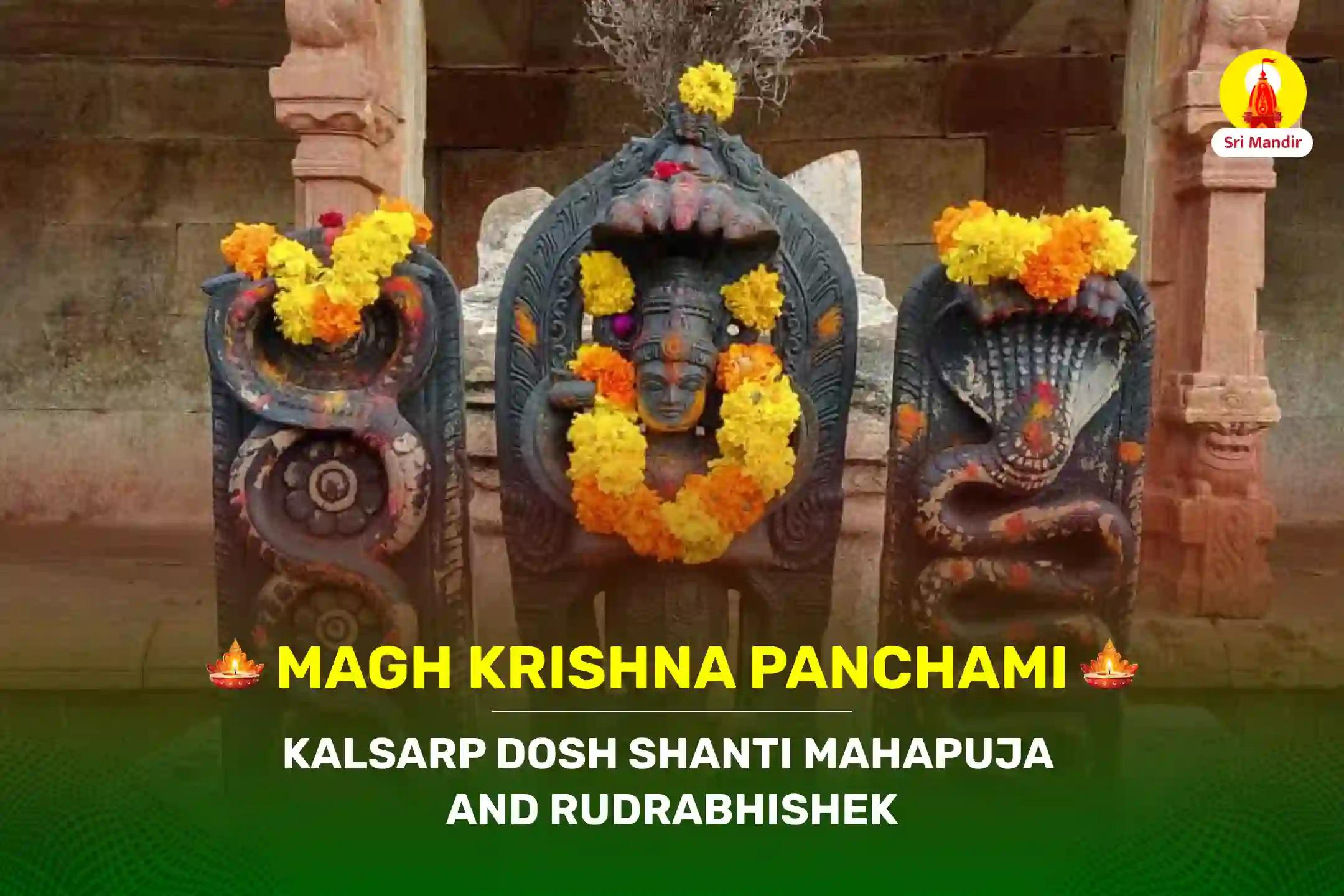 Magh Krishna Panchami Special Kaal Sarp Dosha Shanti Mahapuja and Rudrabhishek  