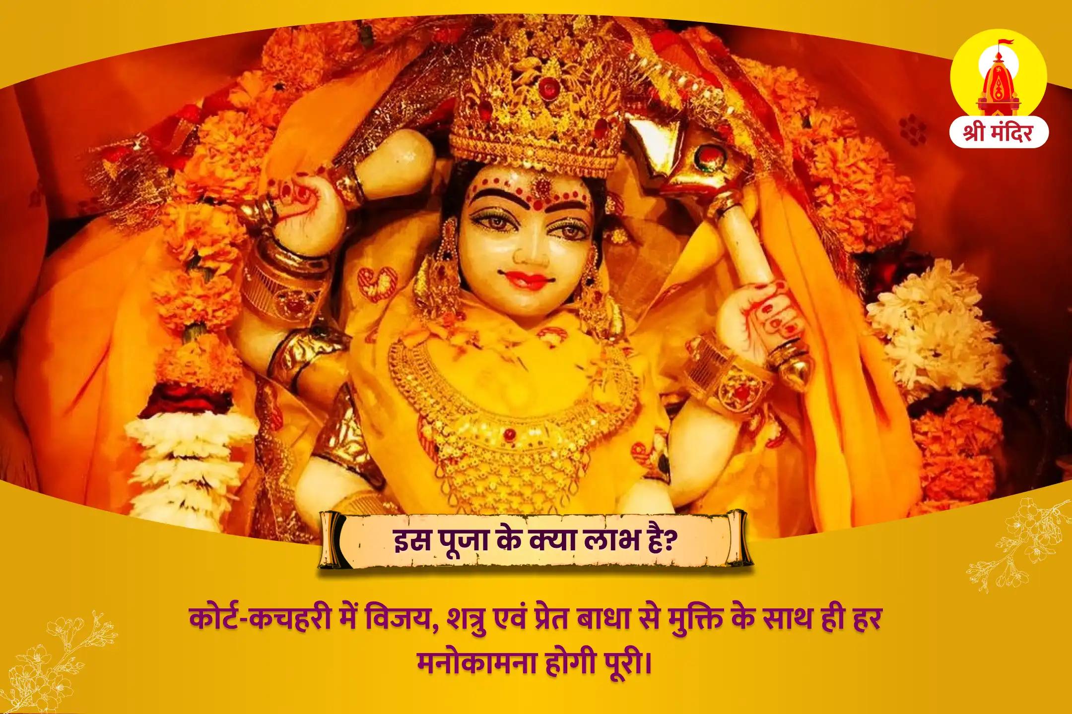 माँ बगलामुखी सर्व सिद्धि कार्य तंत्र युक्त महायज्ञ