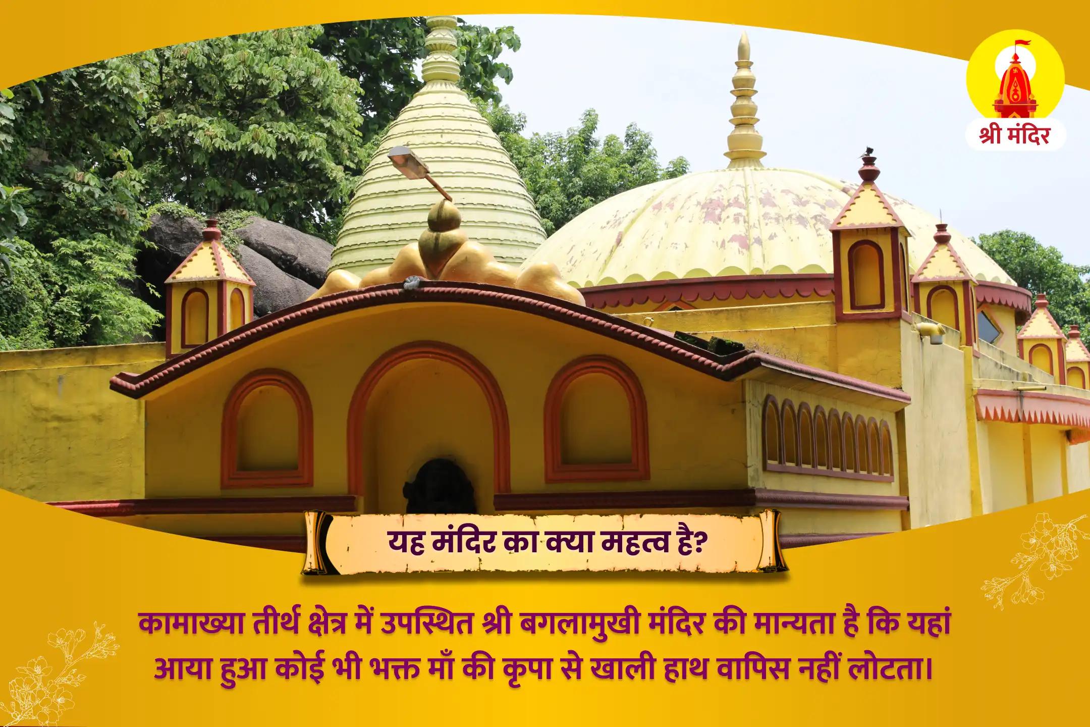 माँ बगलामुखी सर्व सिद्धि कार्य तंत्र युक्त महायज्ञ