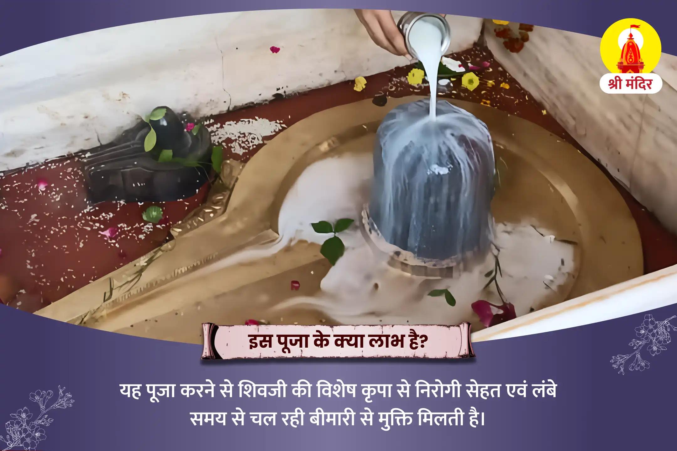 अच्छे स्वास्थ्य एवं असाध्य रोगों से मुक्ति के लिए महामृत्युंजय यज्ञ एवं शिव रूद्राभिषेक