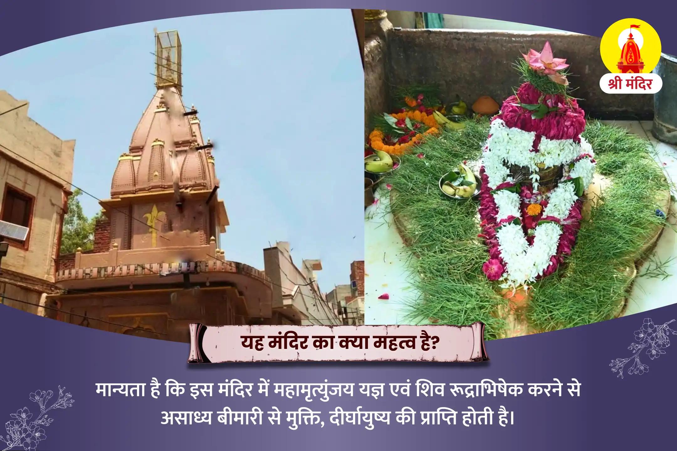 अच्छे स्वास्थ्य एवं असाध्य रोगों से मुक्ति के लिए महामृत्युंजय यज्ञ एवं शिव रूद्राभिषेक