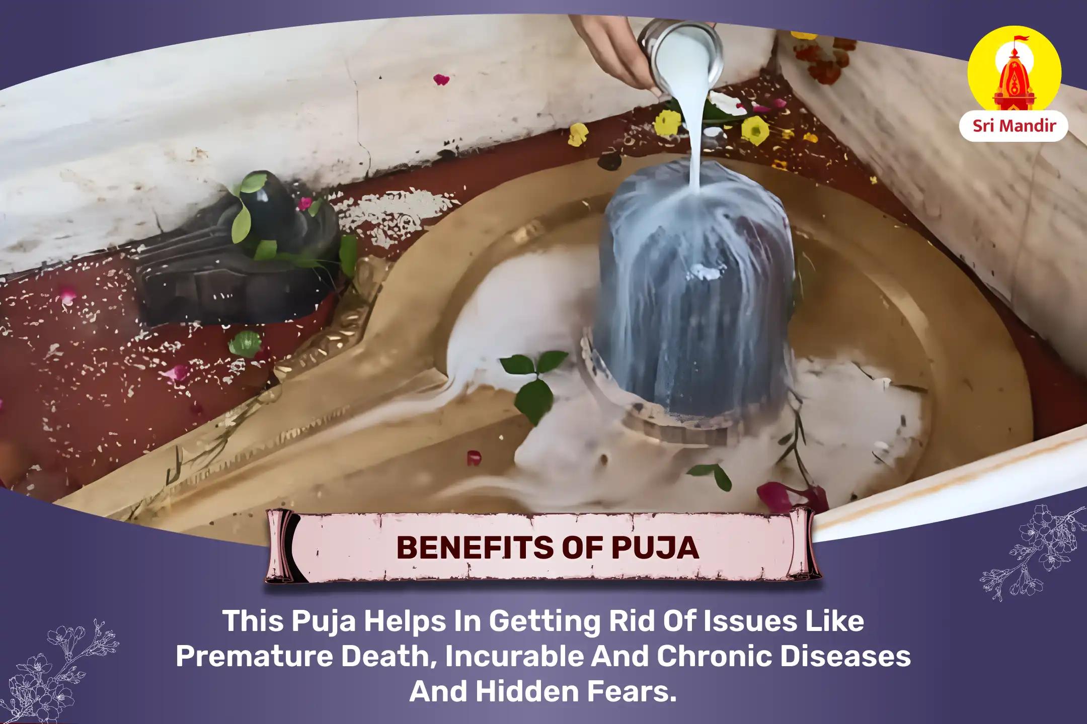 Mahamrityunjay Yagya and Shiva Rudrabhishek for Good Health and Relief from Terminal Illnesses