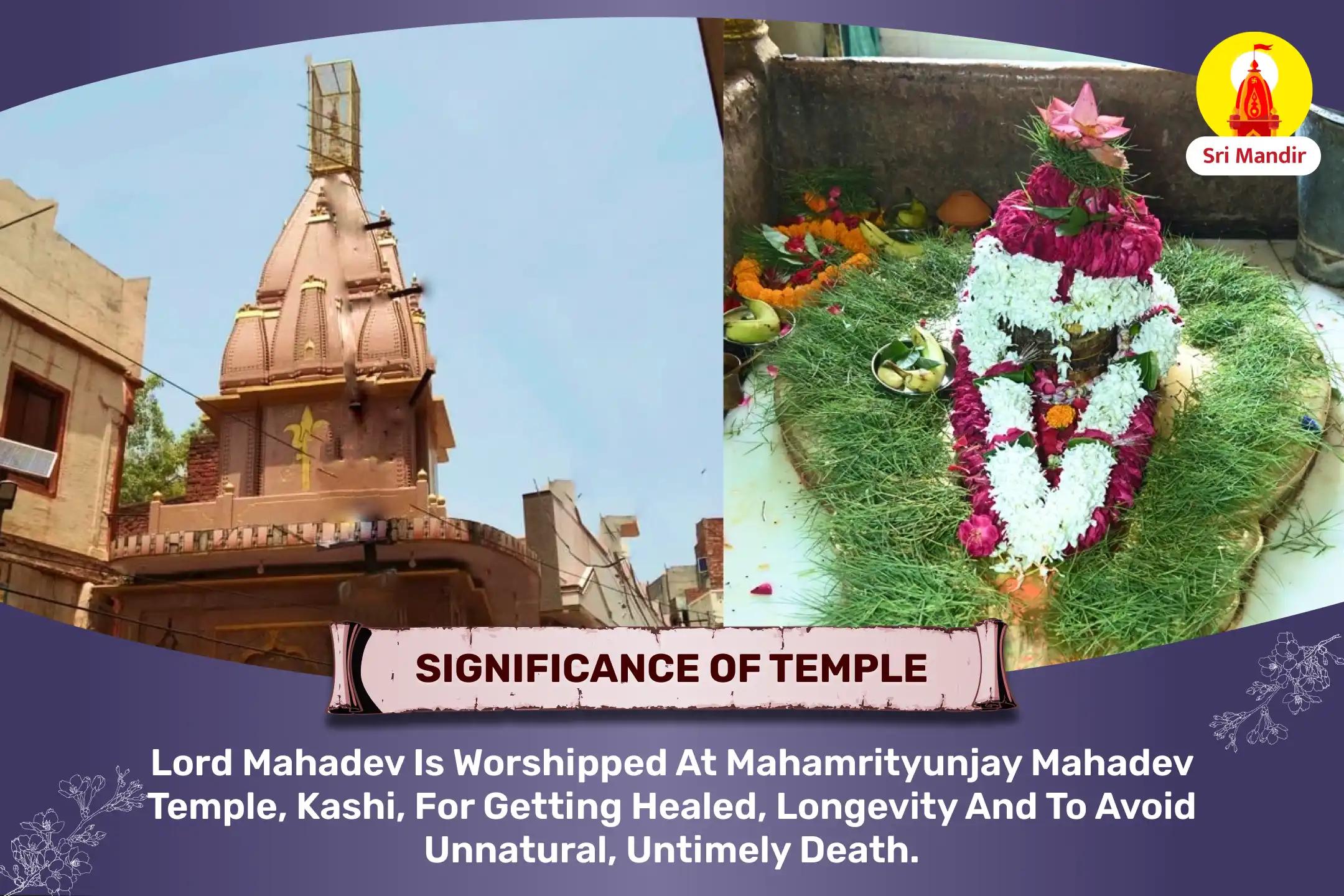 Mahamrityunjay Yagya and Shiva Rudrabhishek for Good Health and Relief from Terminal Illnesses