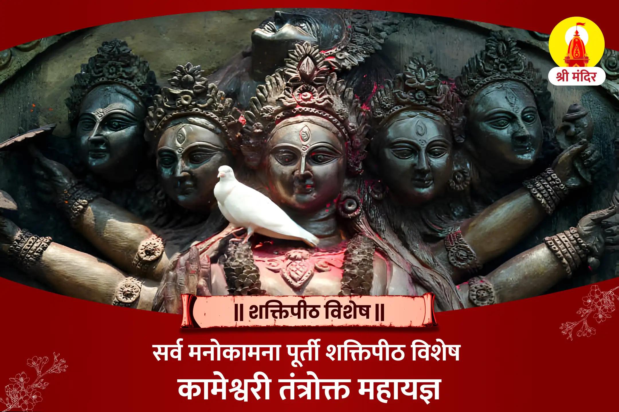 सर्व मनोकामना पूर्ति शक्तिपीठ विशेष कामेश्वरी तंत्रोक्त महायज्ञ