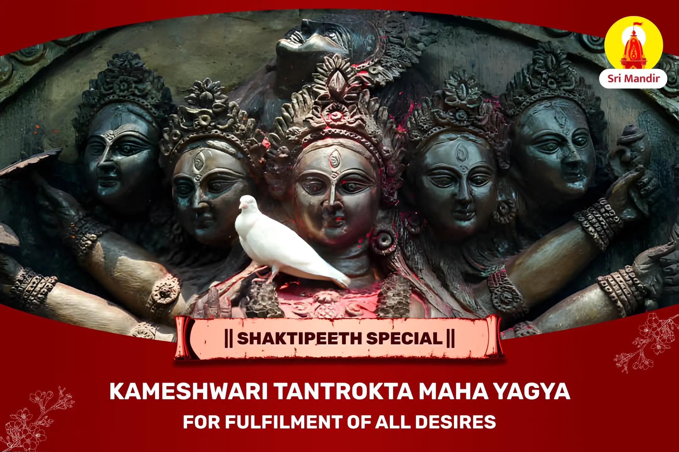 Shaktipeeth Special Kameshwari Tantrokta Maha Yagya for Fulfilment of All Desires