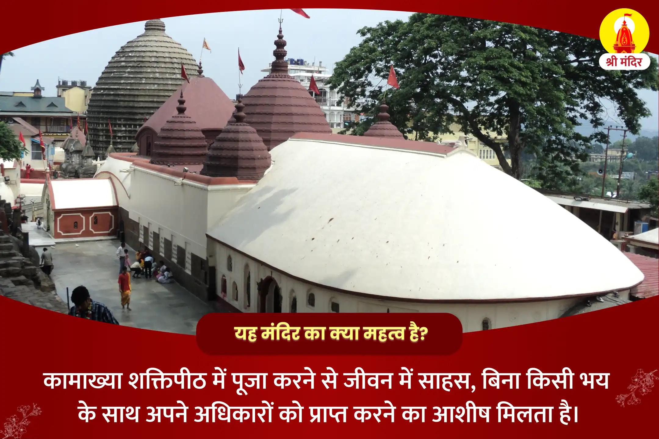साहस, अभय एवं अधिकार प्राप्ति के लिए दुर्गाष्टमी विशेष महाकाली तंत्र युक्त महापूजा  