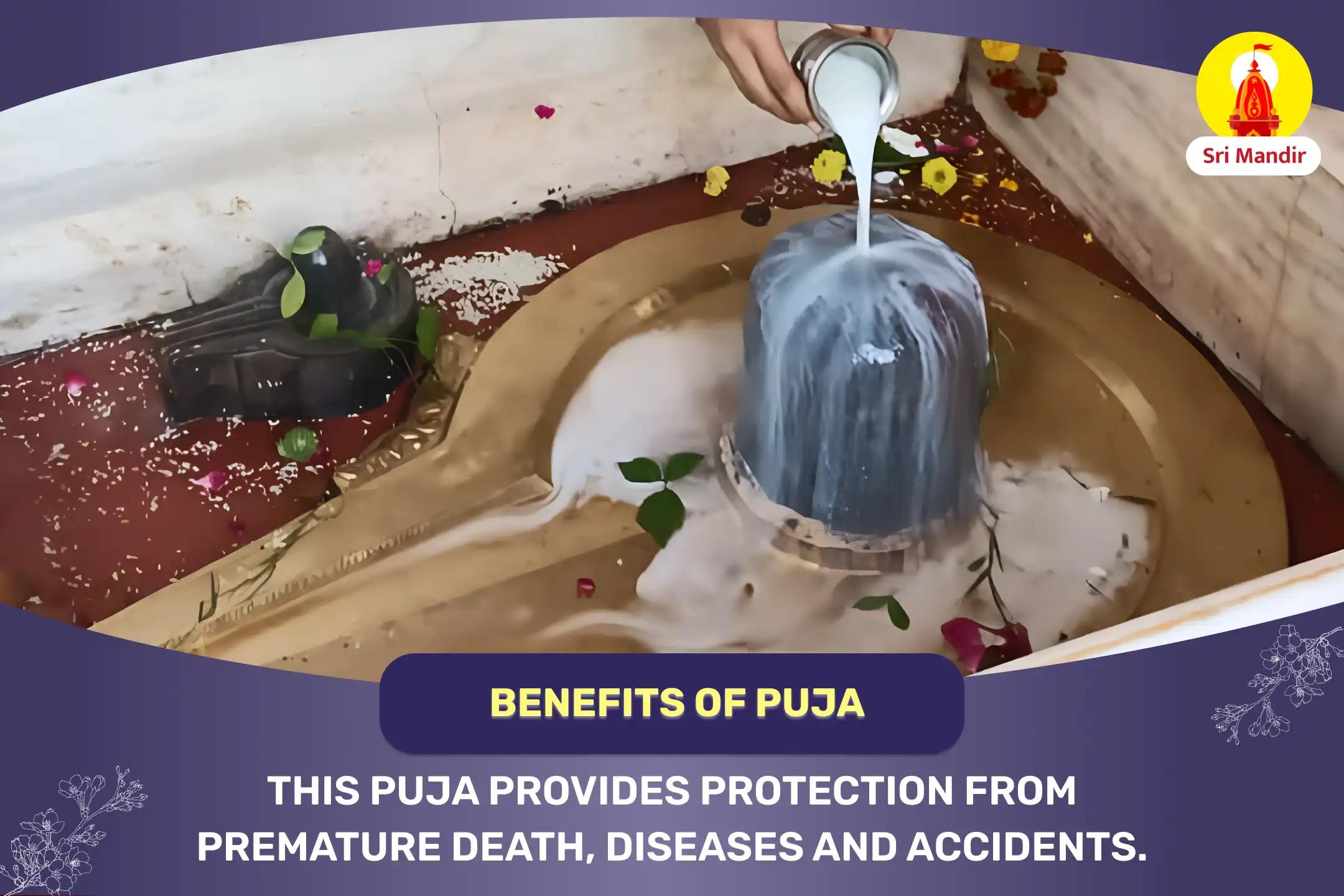 Mahamrityunjaya Yagya and Shiva Rudrabhishek for Good Health and to Avoid Accidents