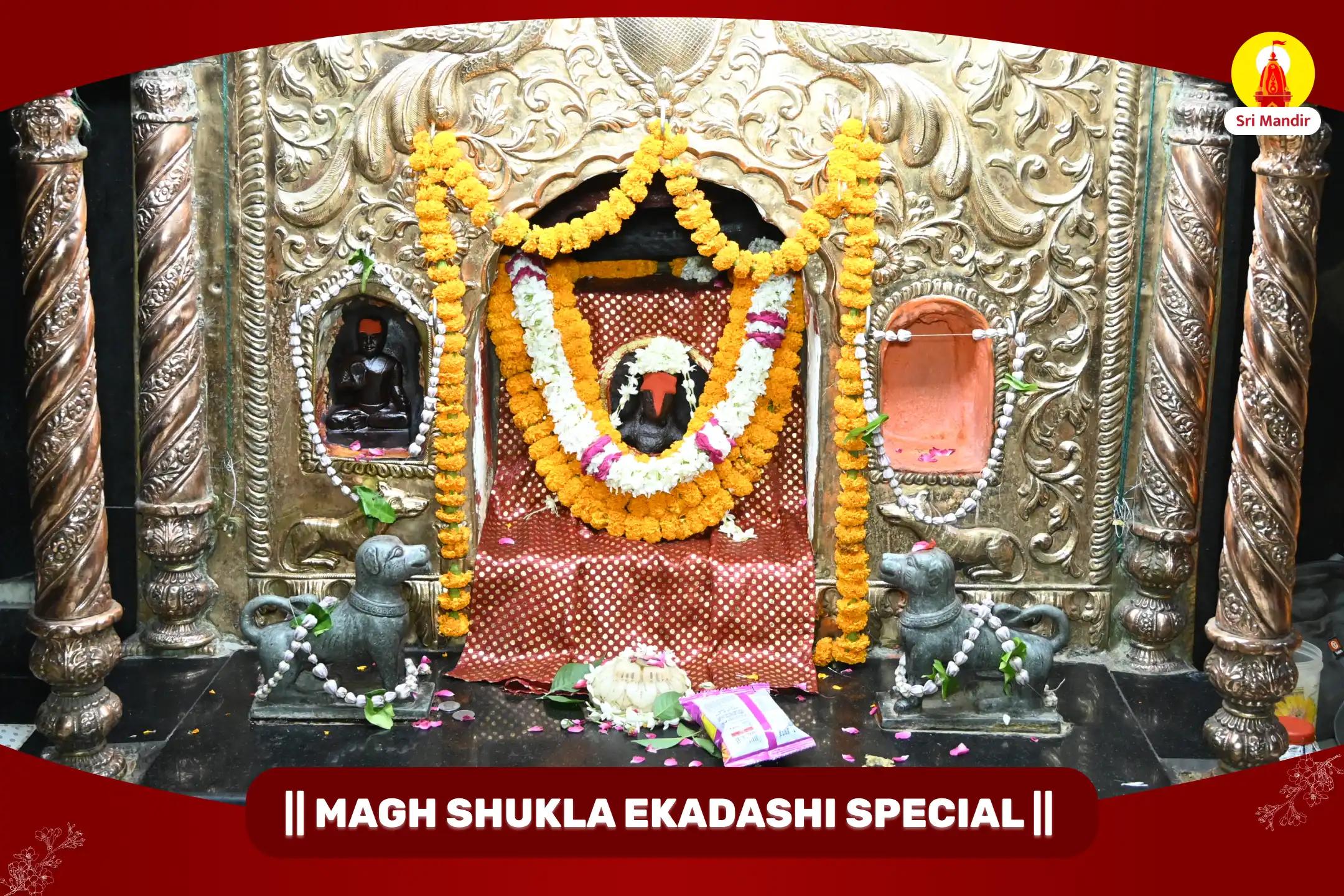 Shri Batuk Bhairav ​​Aapda Haran Yagya Panchmukhi Hanuman Kavach Siddha Yagya for Career Progression and Success in Business & Jobs