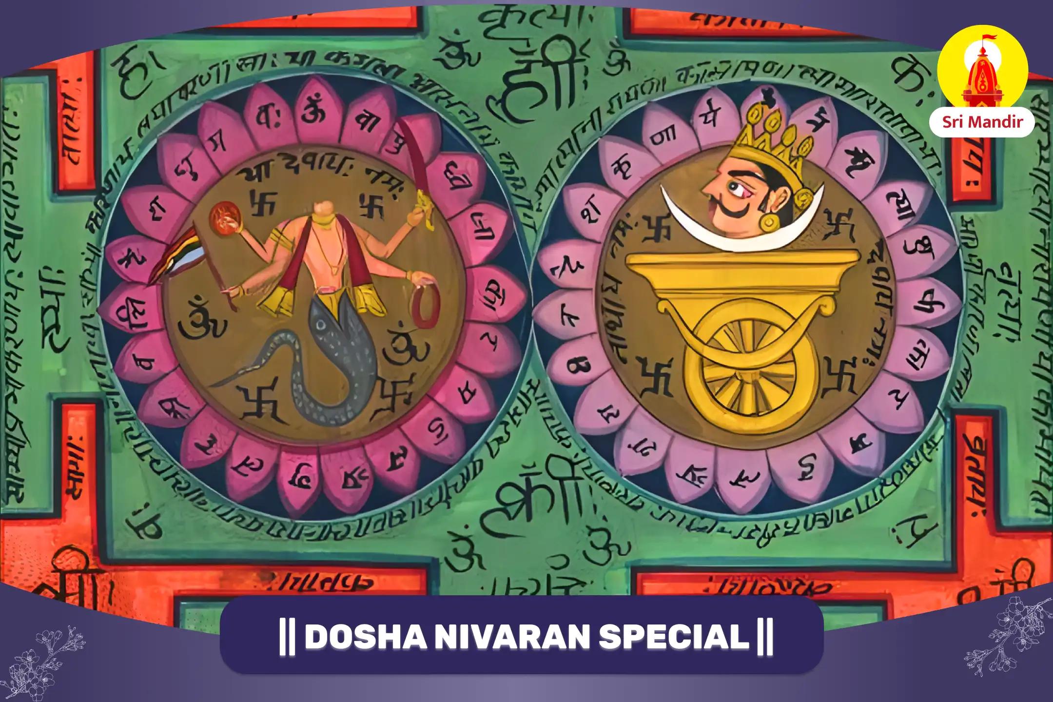 Rahu-Ketu Peeda Shanti and Shiv Rudrabhishek to Remove Uncertainty and Attain Prosperity 