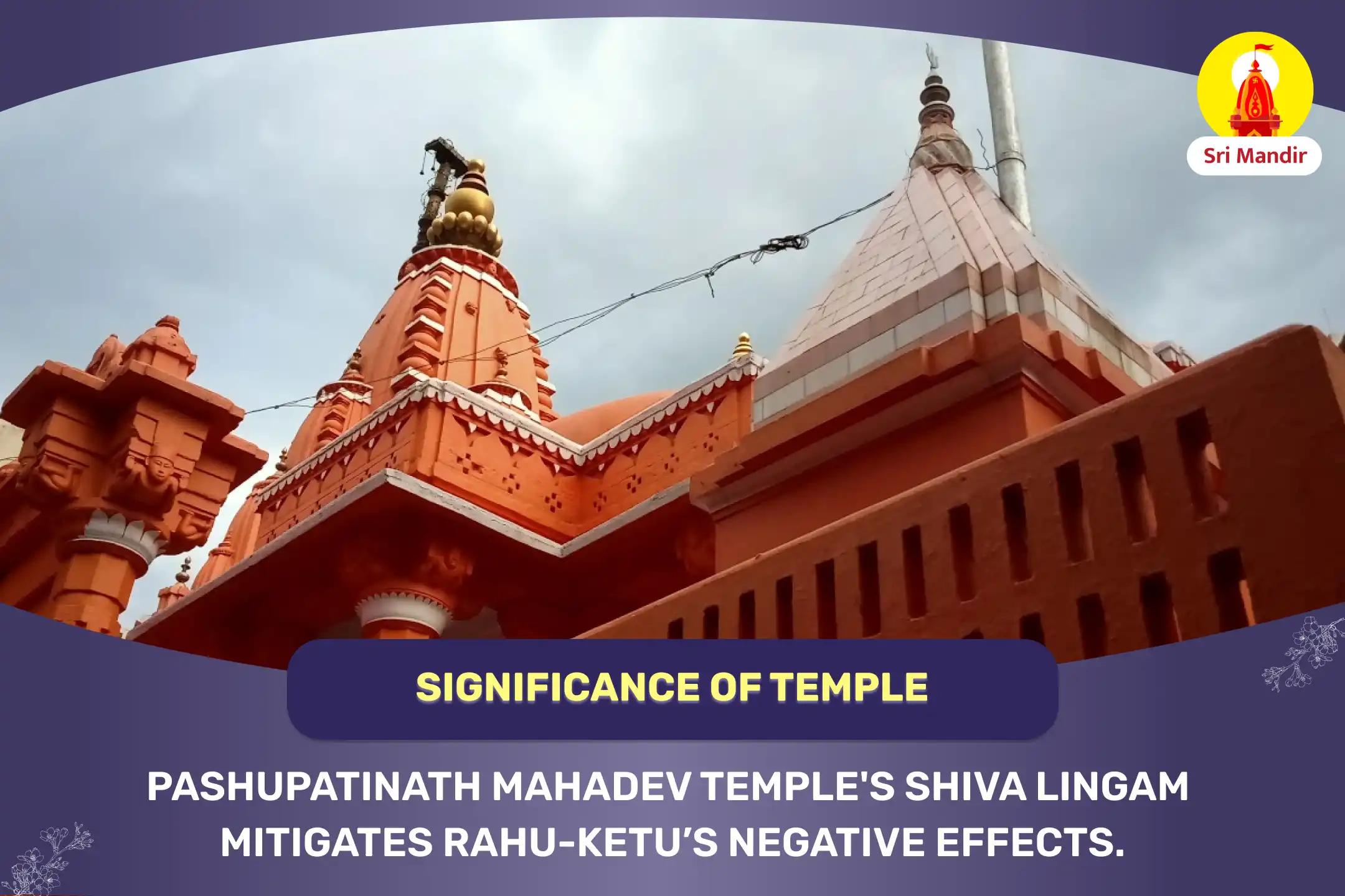 Rahu-Ketu Peeda Shanti and Shiv Rudrabhishek to Remove Uncertainty and Attain Prosperity 