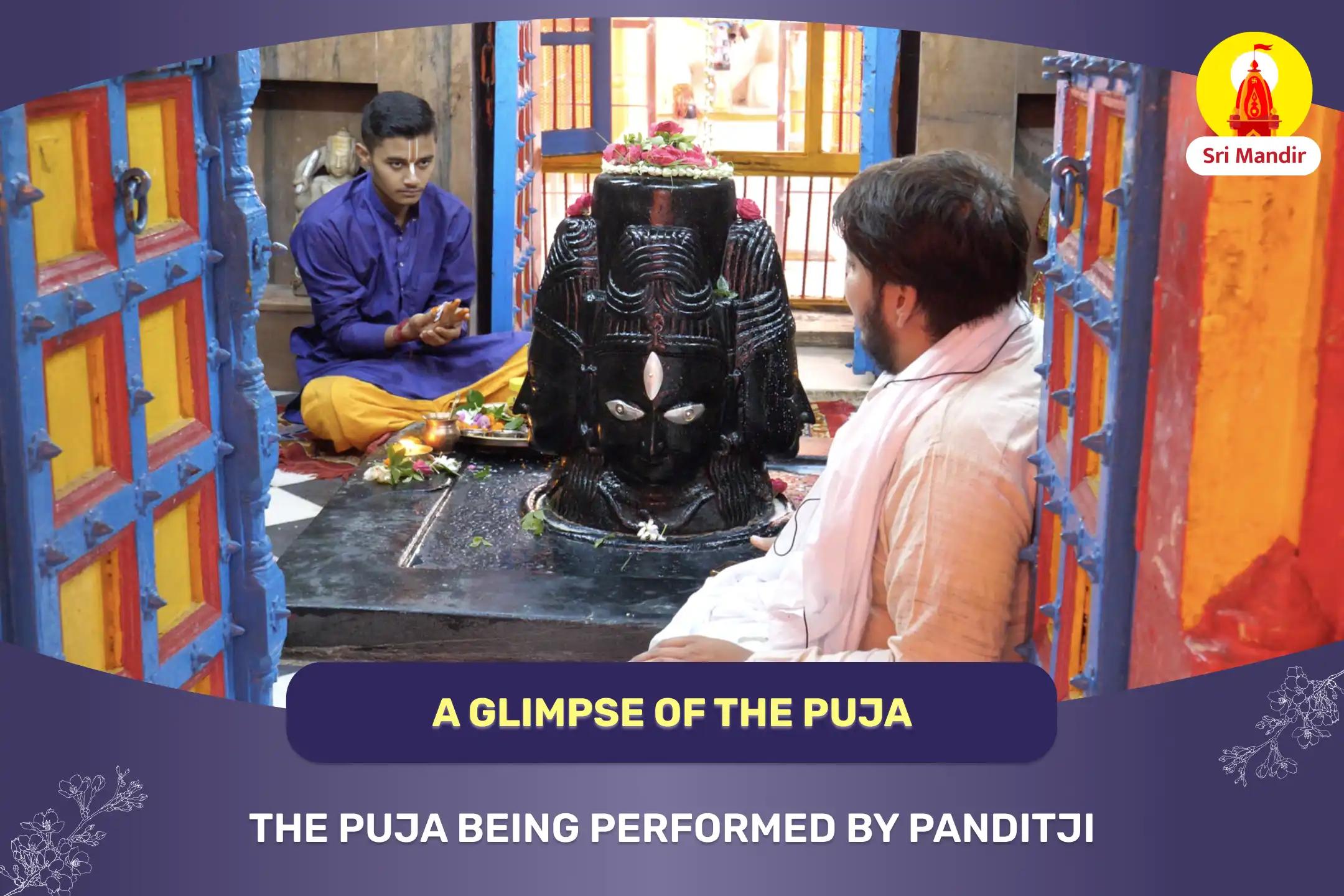Rahu-Ketu Peeda Shanti and Shiv Rudrabhishek to Remove Uncertainty and Attain Prosperity 