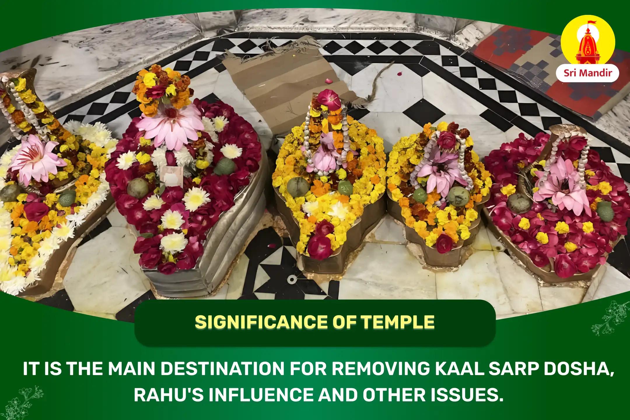 Kaal Sarp Dosha Nivaran Puja and Rahu Ketu Shanti Yagya For Personal & Professional Stability 