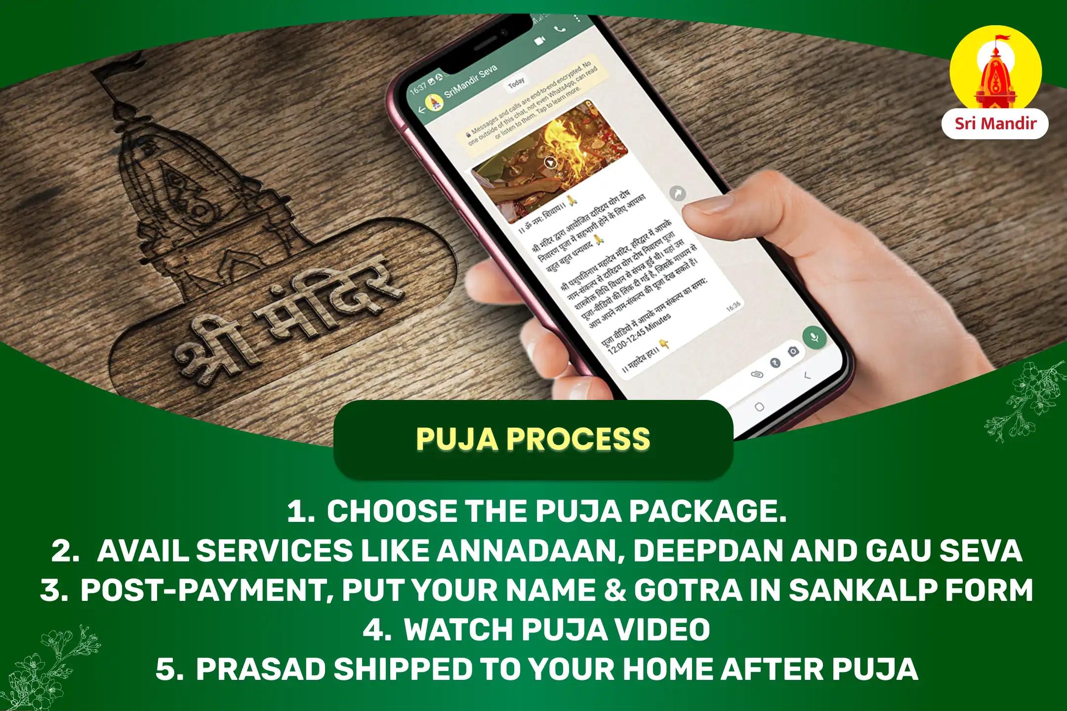 Kaal Sarp Dosha Nivaran Puja and Rahu Ketu Shanti Yagya For Personal & Professional Stability 