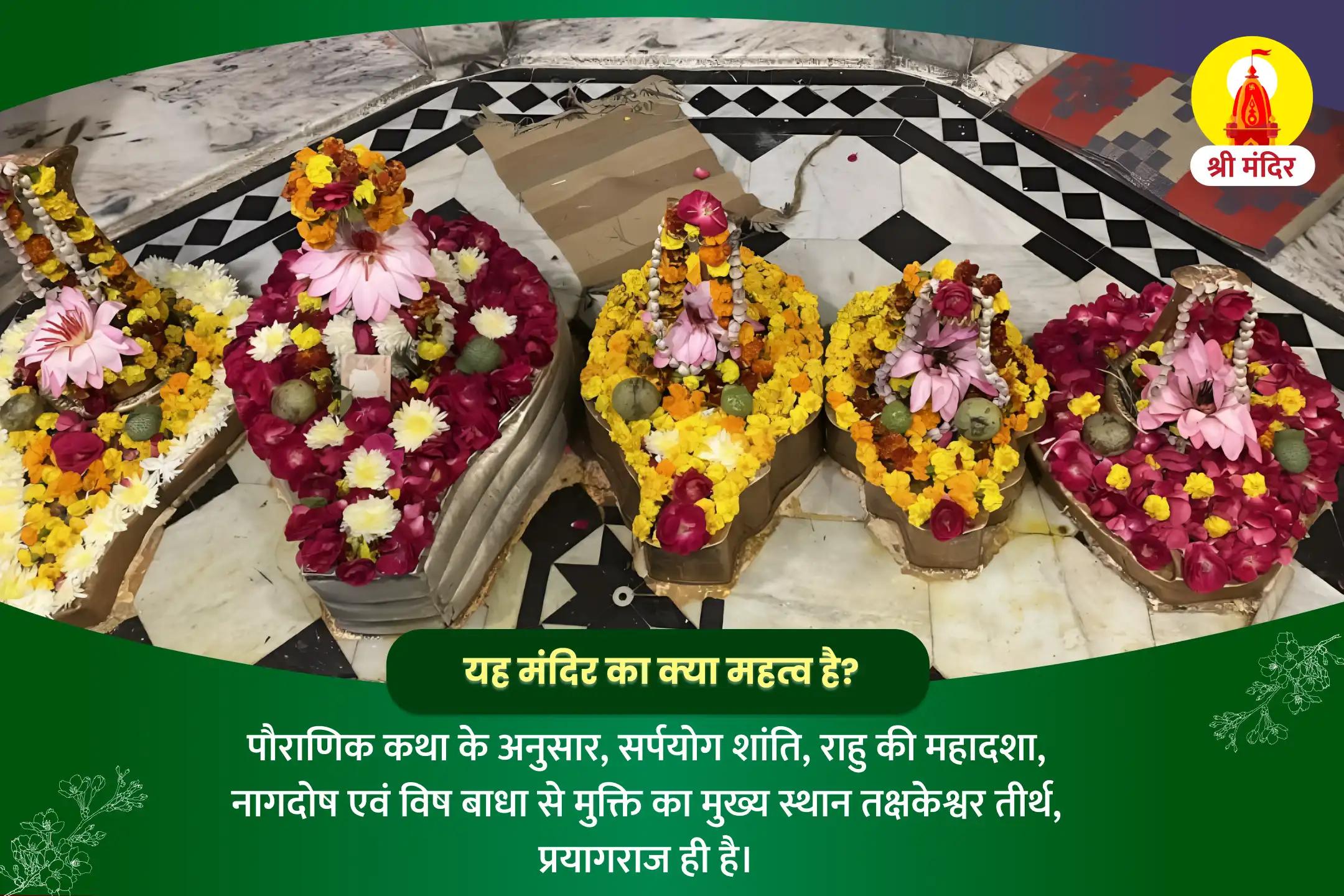 व्यक्तिगत एवं व्यावसायिक स्थिरता के लिए कालसर्प दोष निवारण पूजा और राहु केतु शांति यज्ञ  