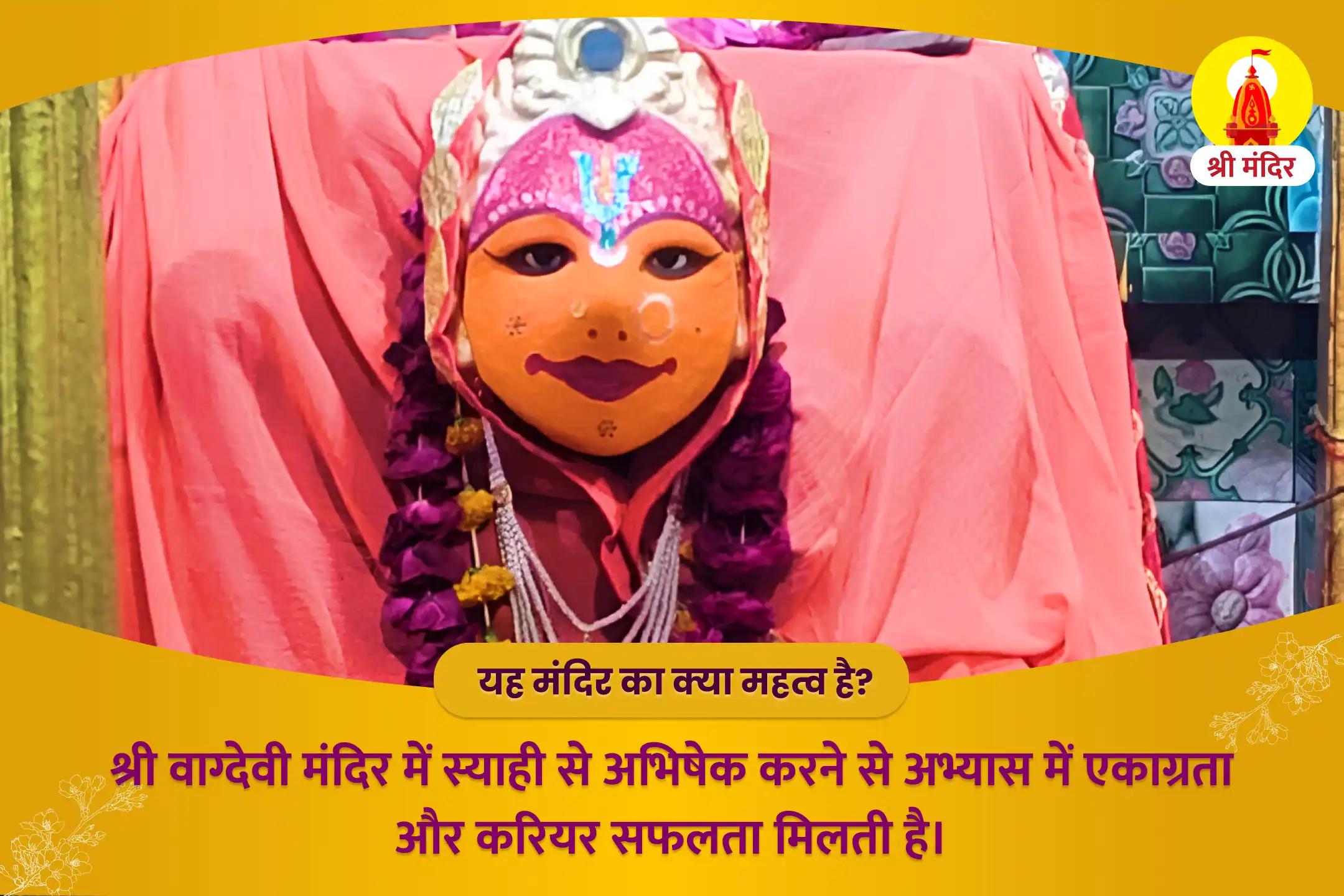 बसंत पंचमी विशेष उच्च शिक्षा एवं करियर में तरक्की के लिए माँ सरस्वती स्याही अभिषेक, शारदा मंत्र महायज्ञ