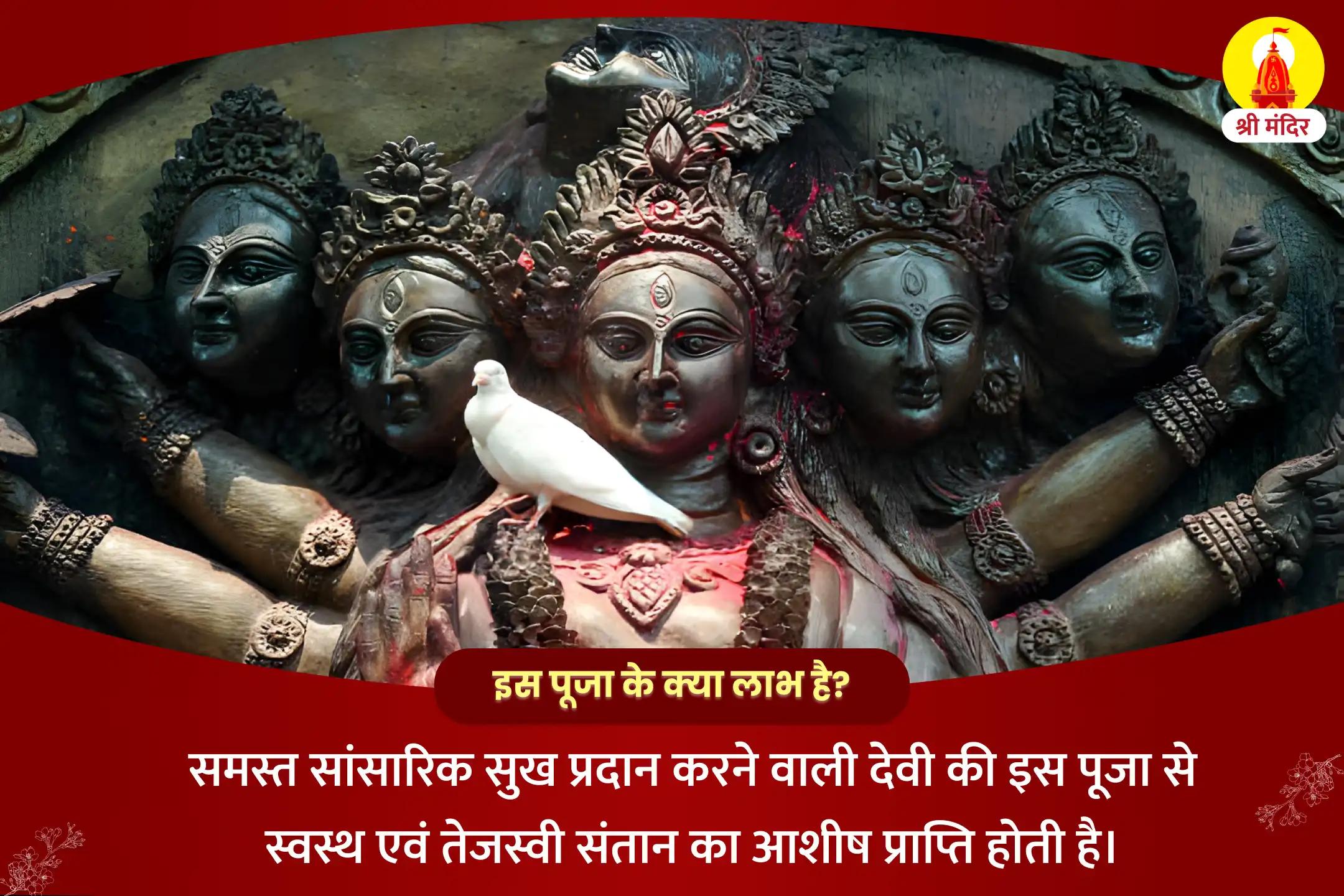 स्वस्थ एवं तेजस्वी संतान प्राप्ति और माता की सुरक्षा के लिए राजराजेश्वरी त्रिपुरसुंदरी महापूजा 