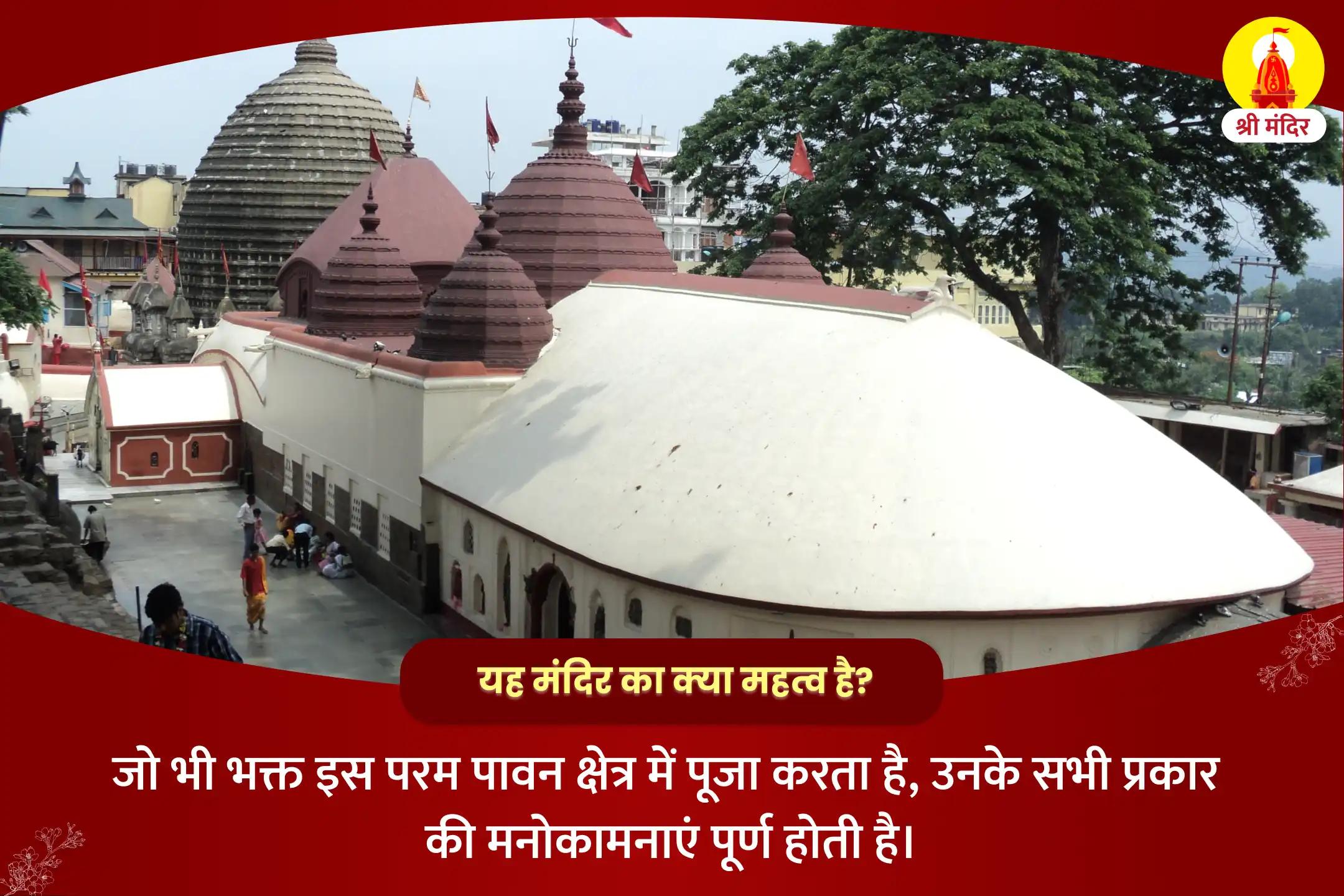स्वस्थ एवं तेजस्वी संतान प्राप्ति और माता की सुरक्षा के लिए राजराजेश्वरी त्रिपुरसुंदरी महापूजा 