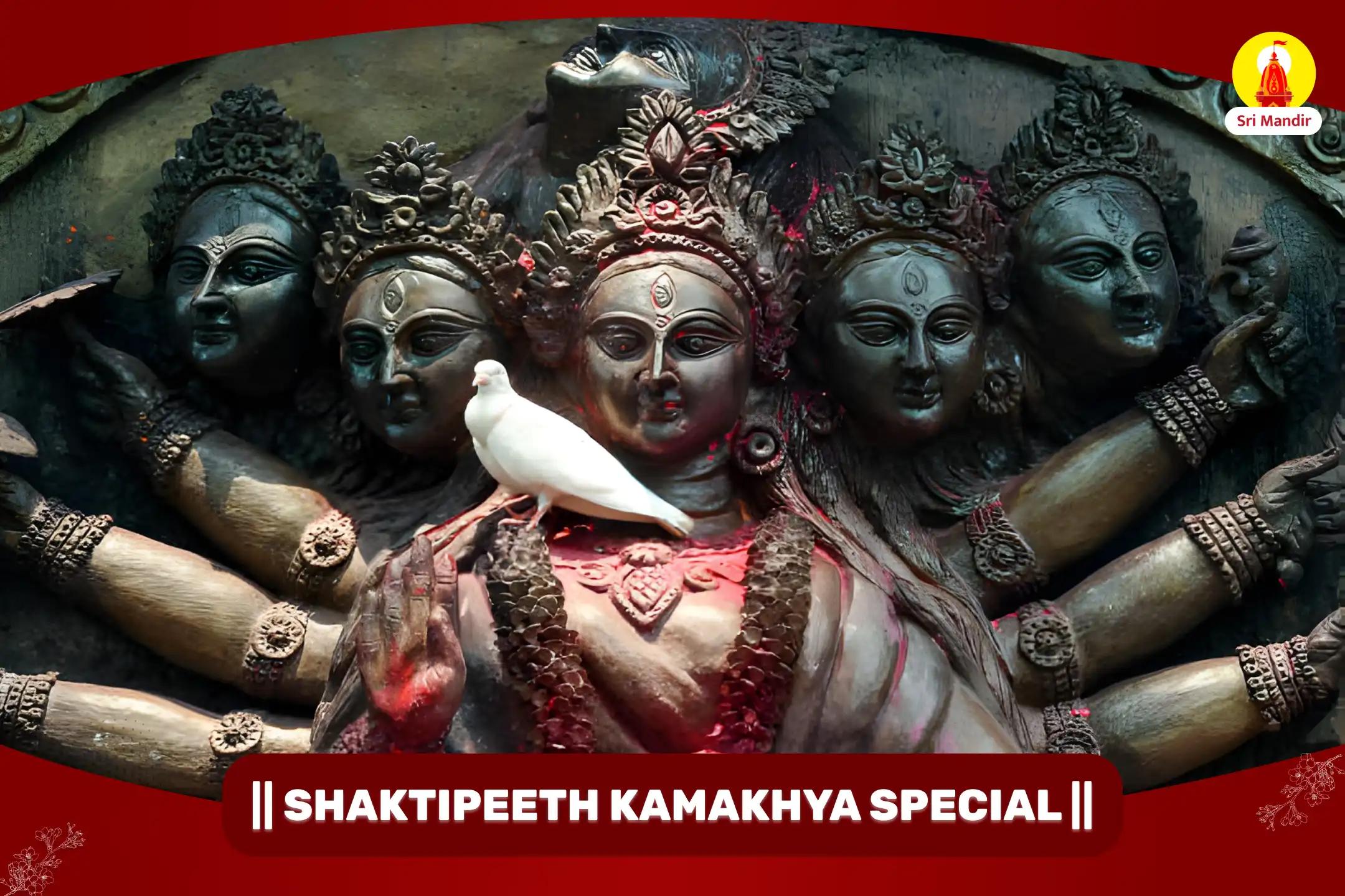 Shaktipeeth Special Sarva Manokamna Poorti Shri Kameshwari Tantrokta Maha Yagya for Fulfilment of All Desires