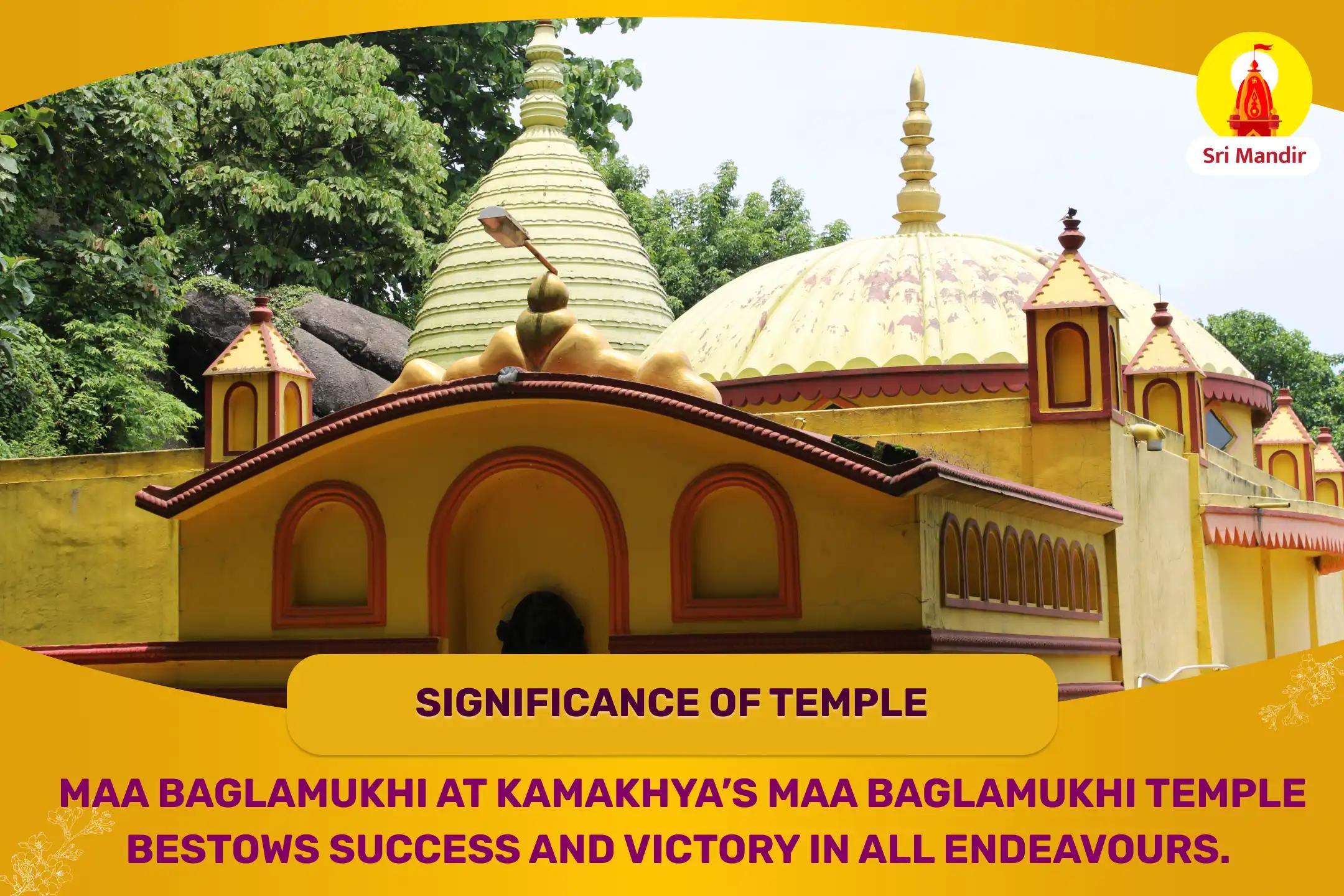 Maa Pitambara Tantra Yukta Yagya for Success in Business, Jobs and Legal Cases