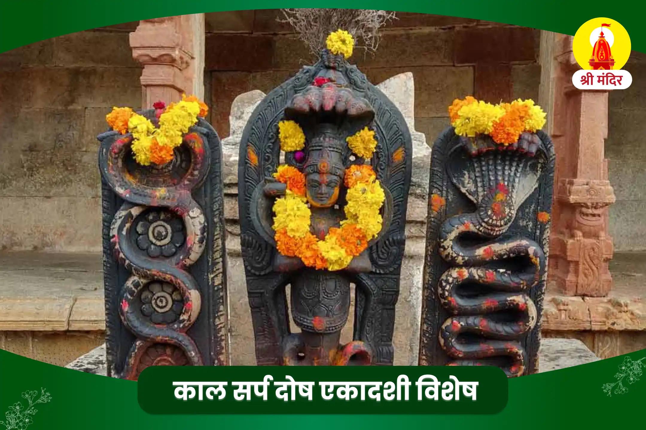 विजया एकादशी विशेष काल सर्प दोष निवारण पूजा एवं शिव रूद्राभिषेक 