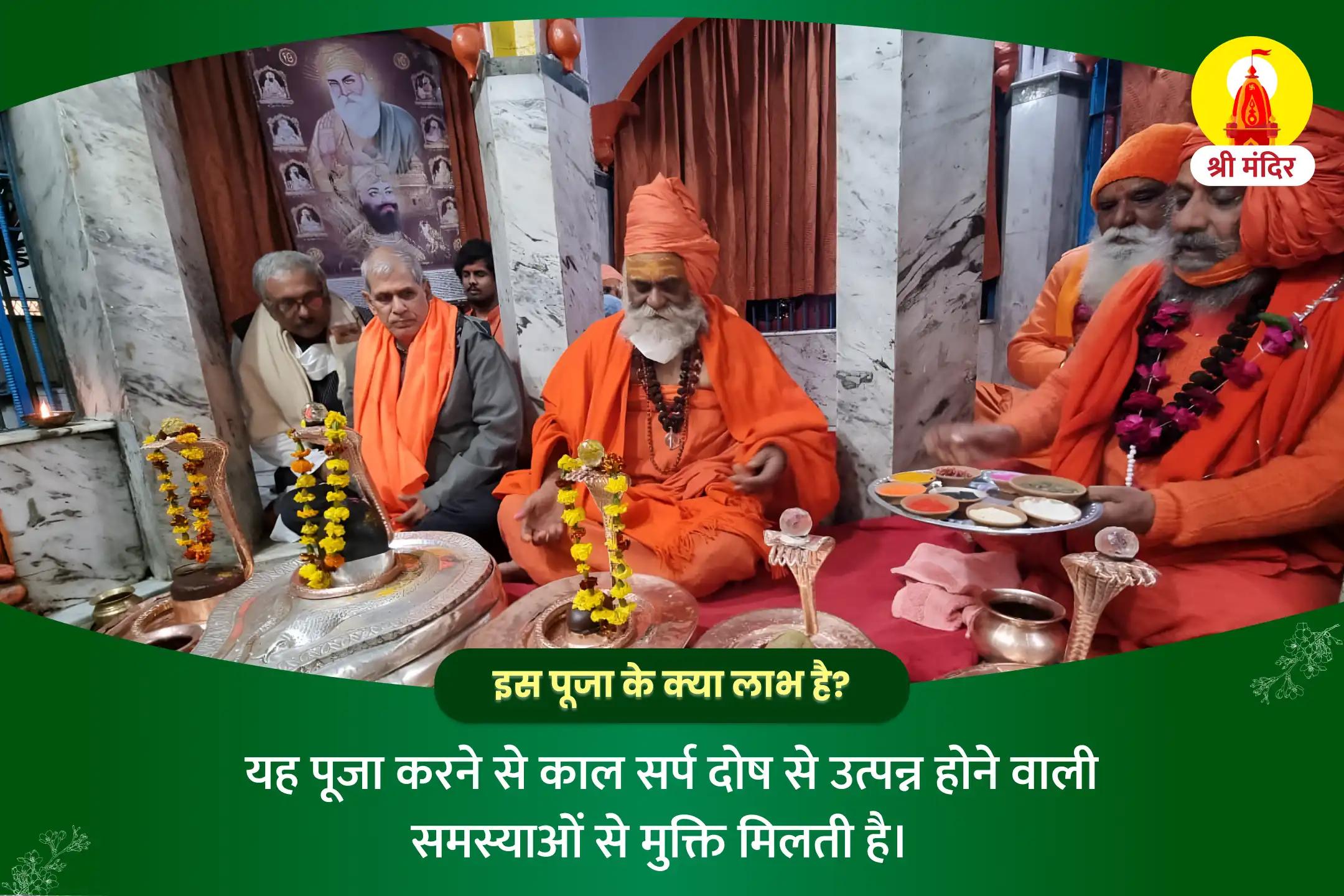 विजया एकादशी विशेष काल सर्प दोष निवारण पूजा एवं शिव रूद्राभिषेक 