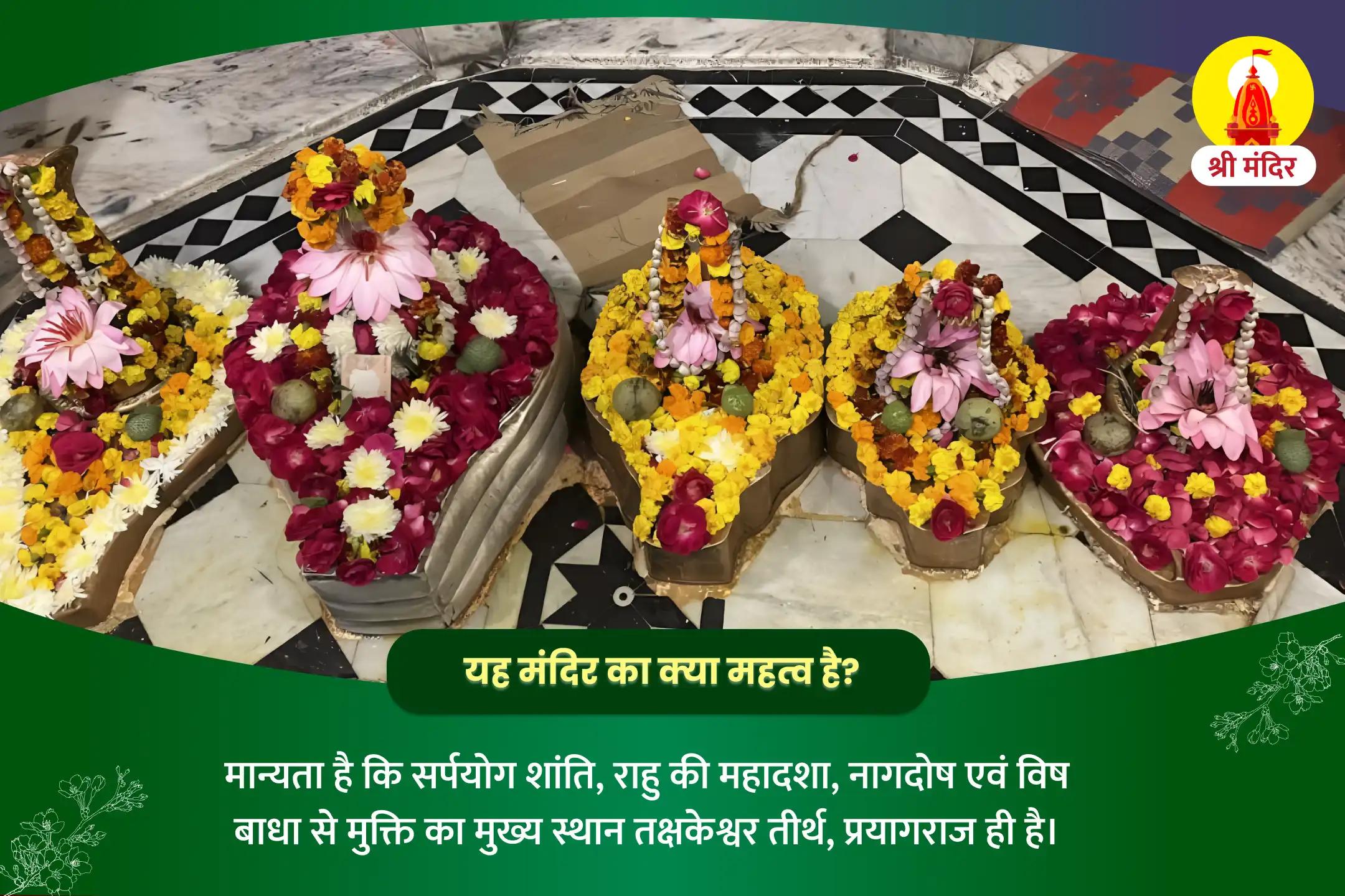विजया एकादशी विशेष काल सर्प दोष निवारण पूजा एवं शिव रूद्राभिषेक 