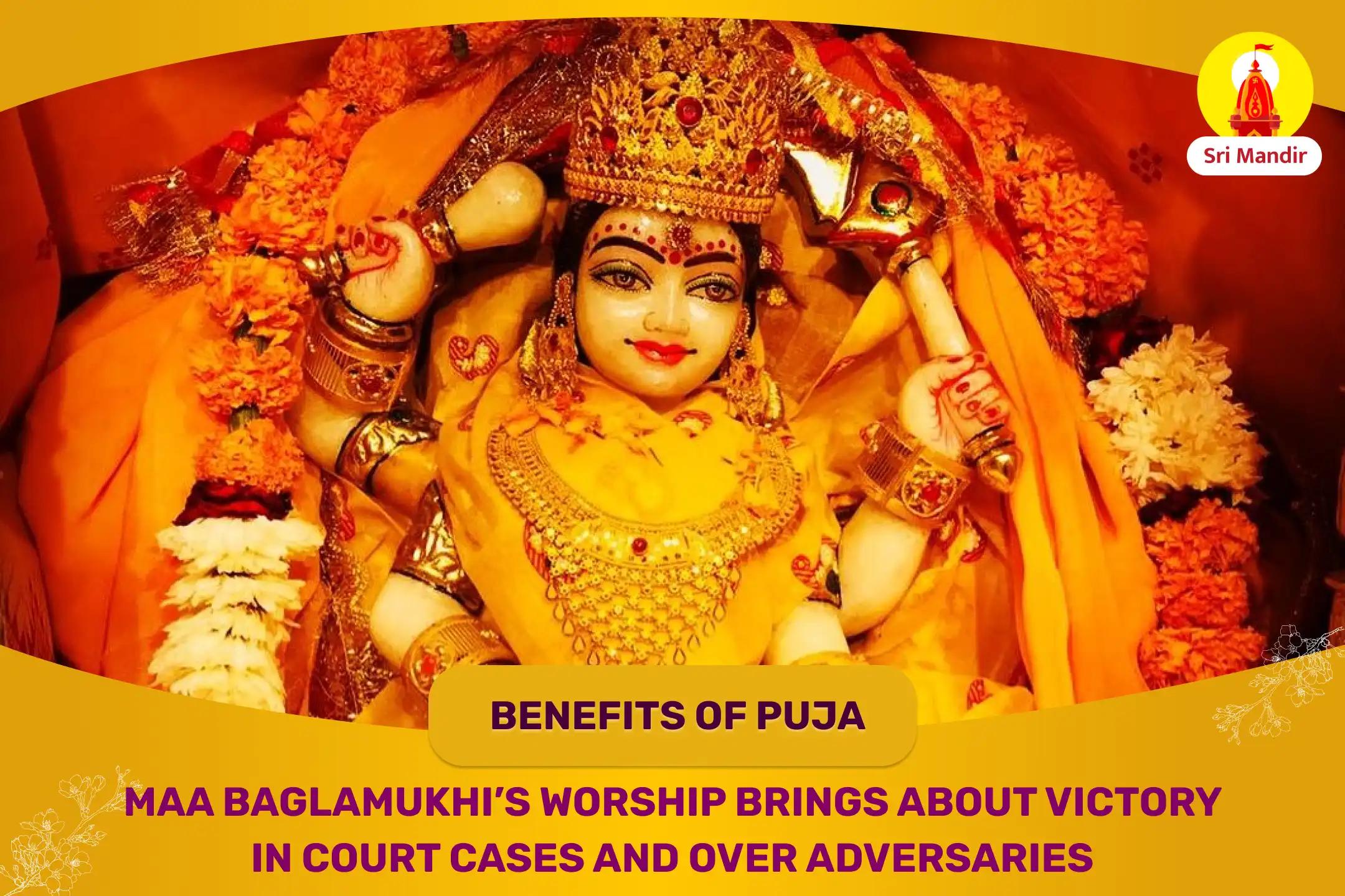 Darsha Amavasya Special Maa Baglamukhi Tantra Yukta Yagya for Victory in Court Cases and Victory over Enemies