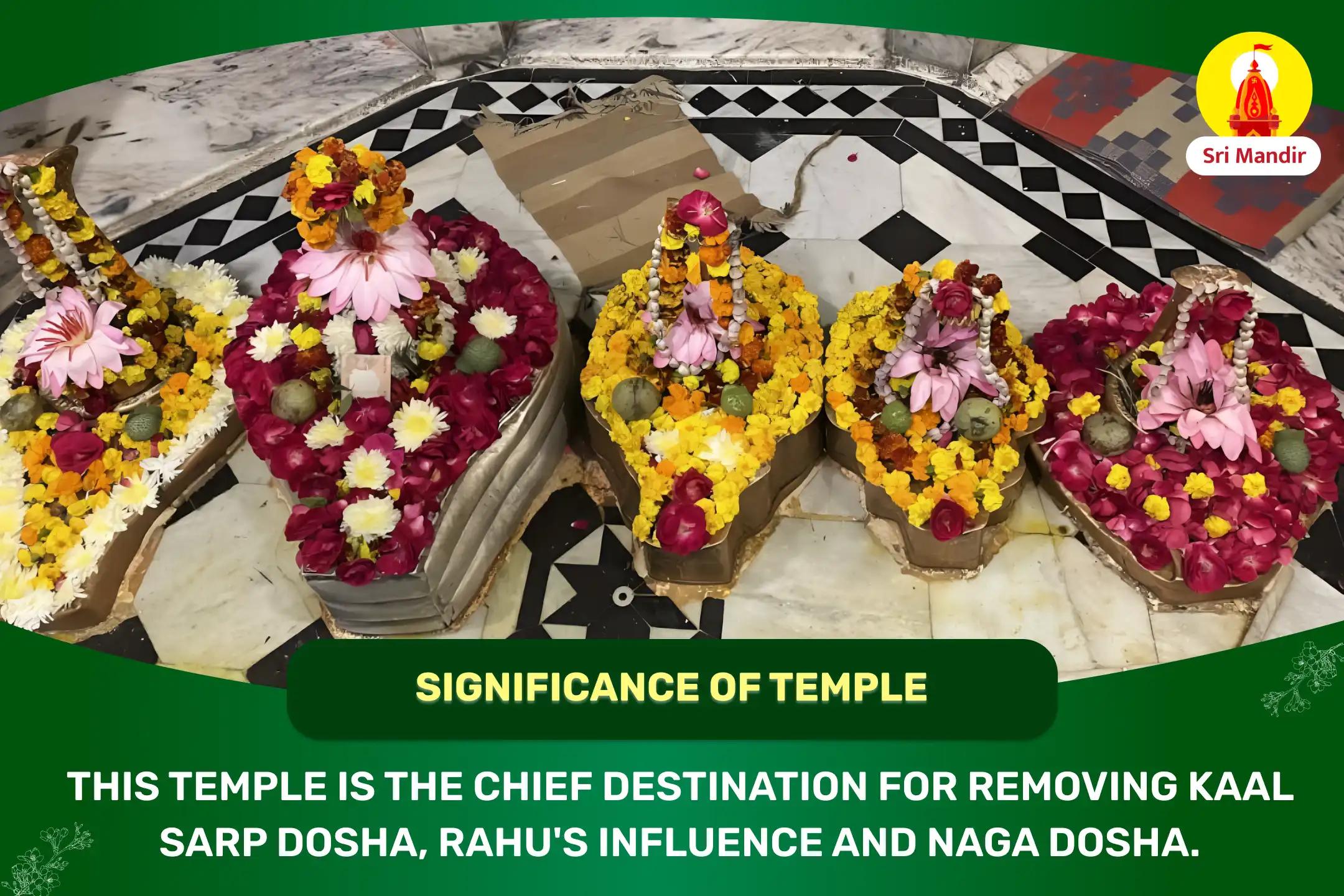 Vijaya Ekadashi Special Kaal Sarp Dosha Nivaran Puja and Shiva Rudrabhishek  