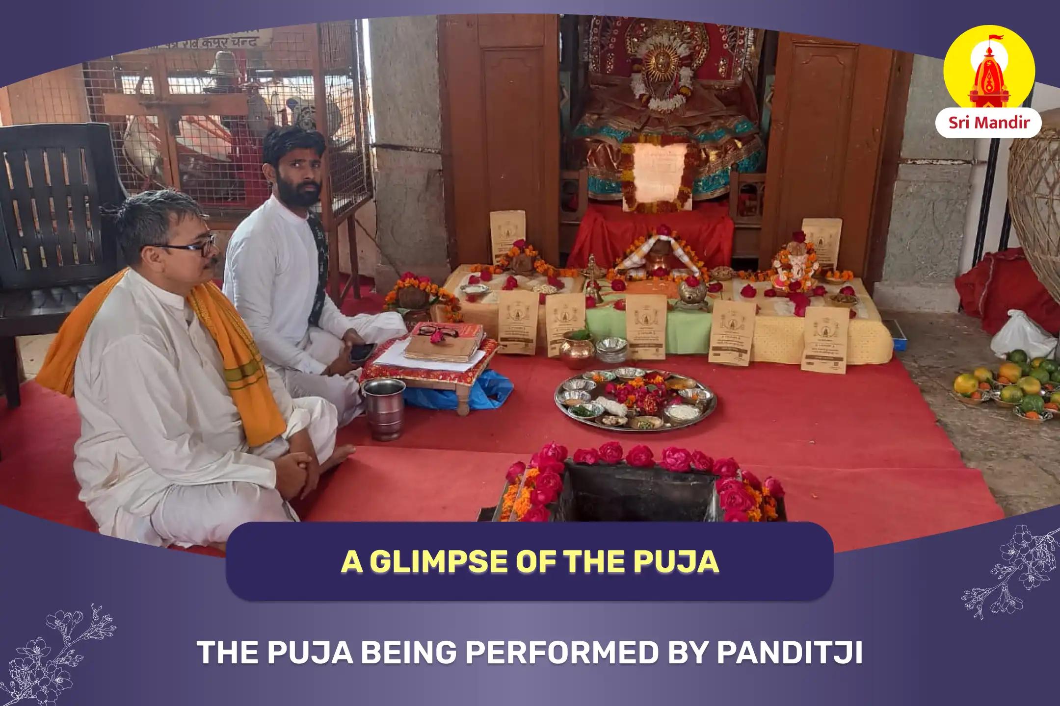 Darsha Amavasya Special Rahu Surya Grahan Dosha Mukti Puja and Rudrabhishek for Relief from Mental Anxiety and Overcoming Challenges