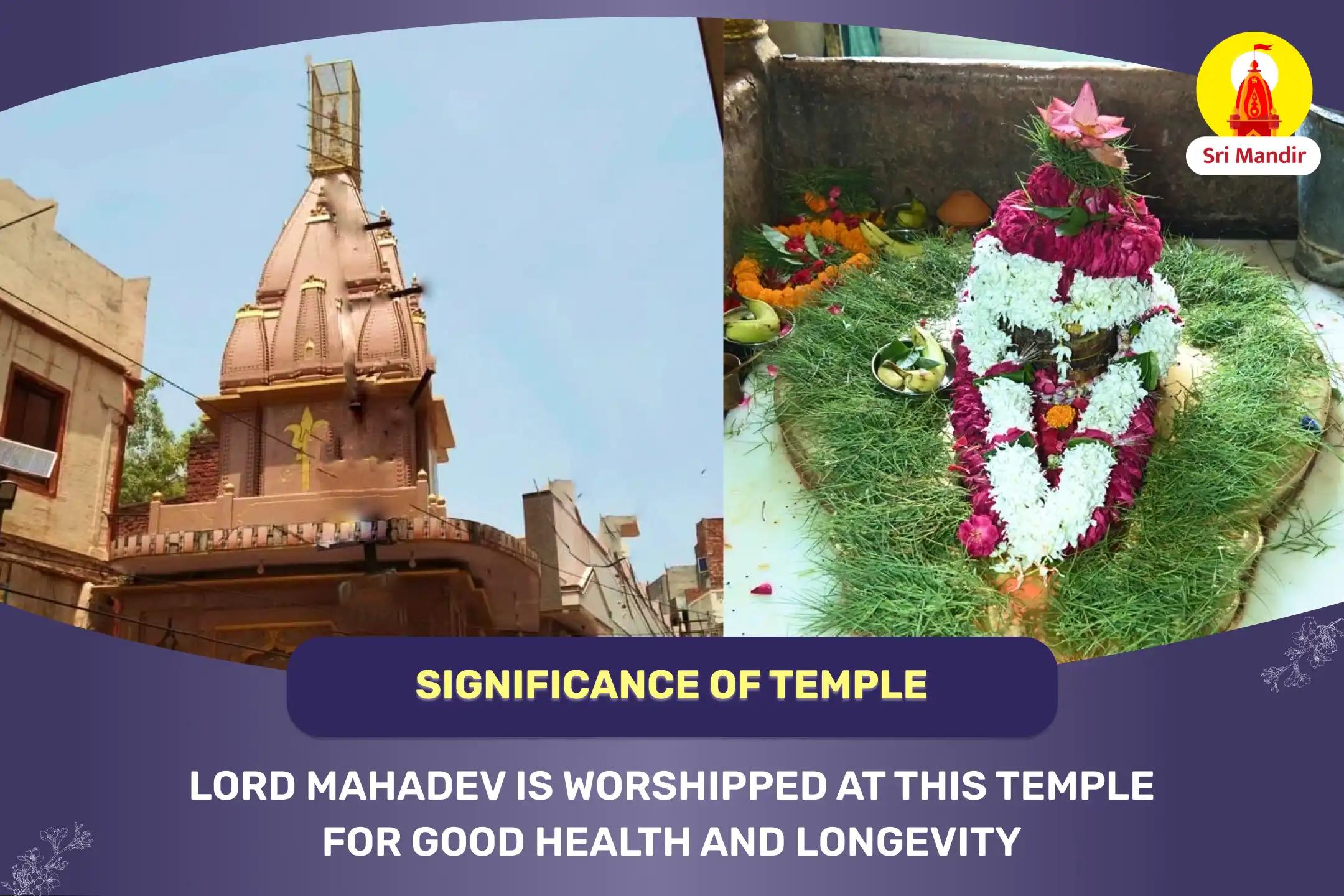  Kashi Monday Special Mahamrityunjay Yagya and Shiva Rudrabhishek for Good Health and Protection from Accidents