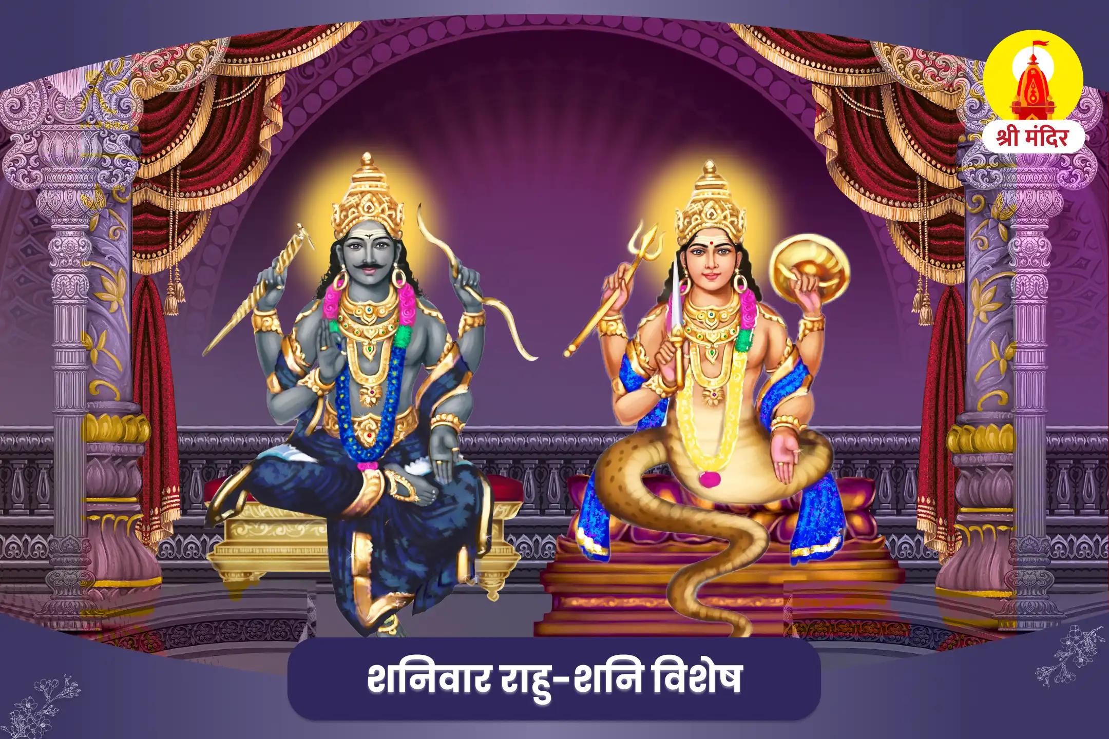 कार्य में विलंब एवं बाधाओं से मुक्ति के लिए राहु-शनि शांति यज्ञ और तिल तेल अभिषेक