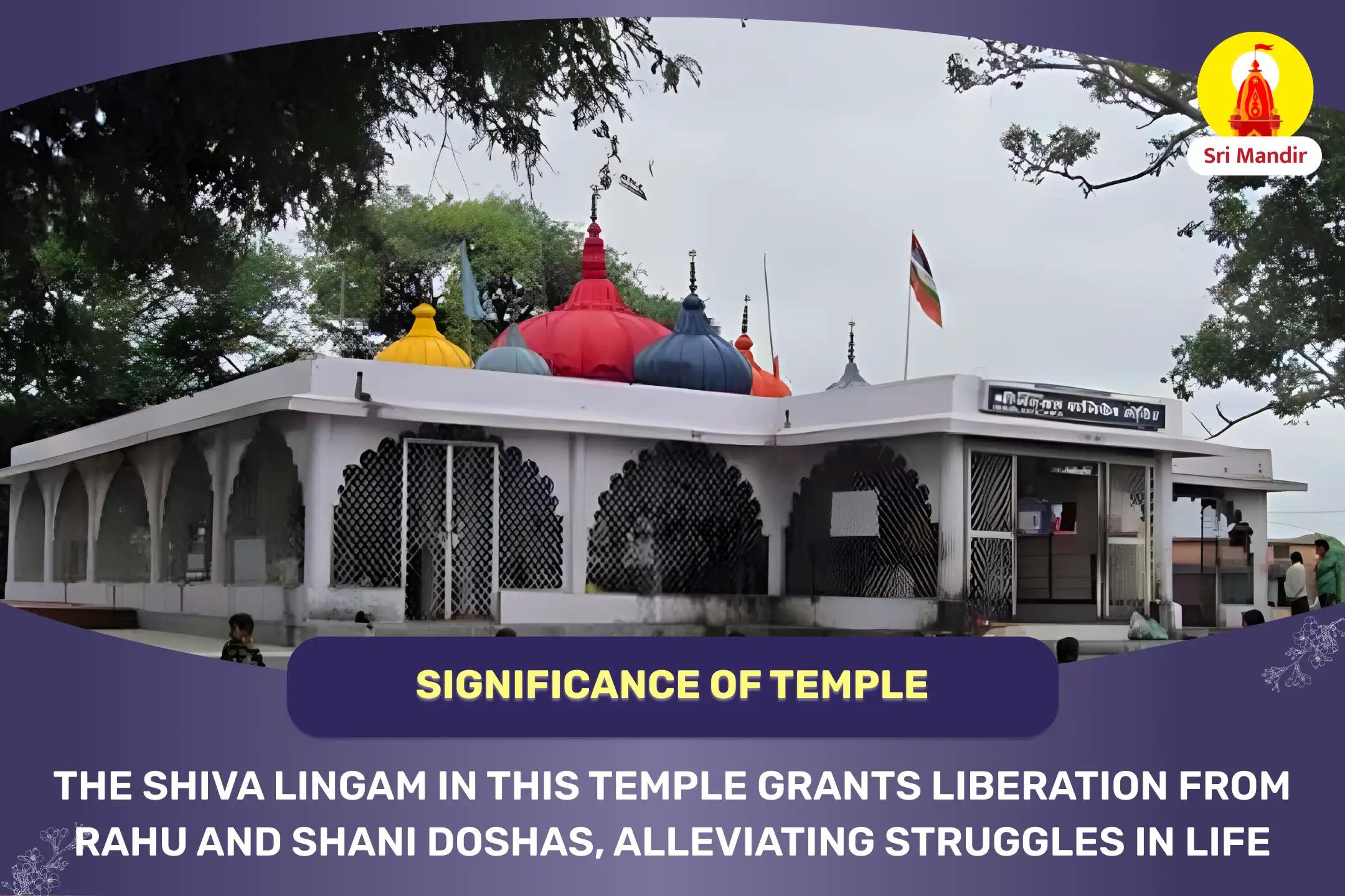  Rahu-Shani Shanti Yagya and Til Tel Abhishek for Protection from Obstacles and Delays 