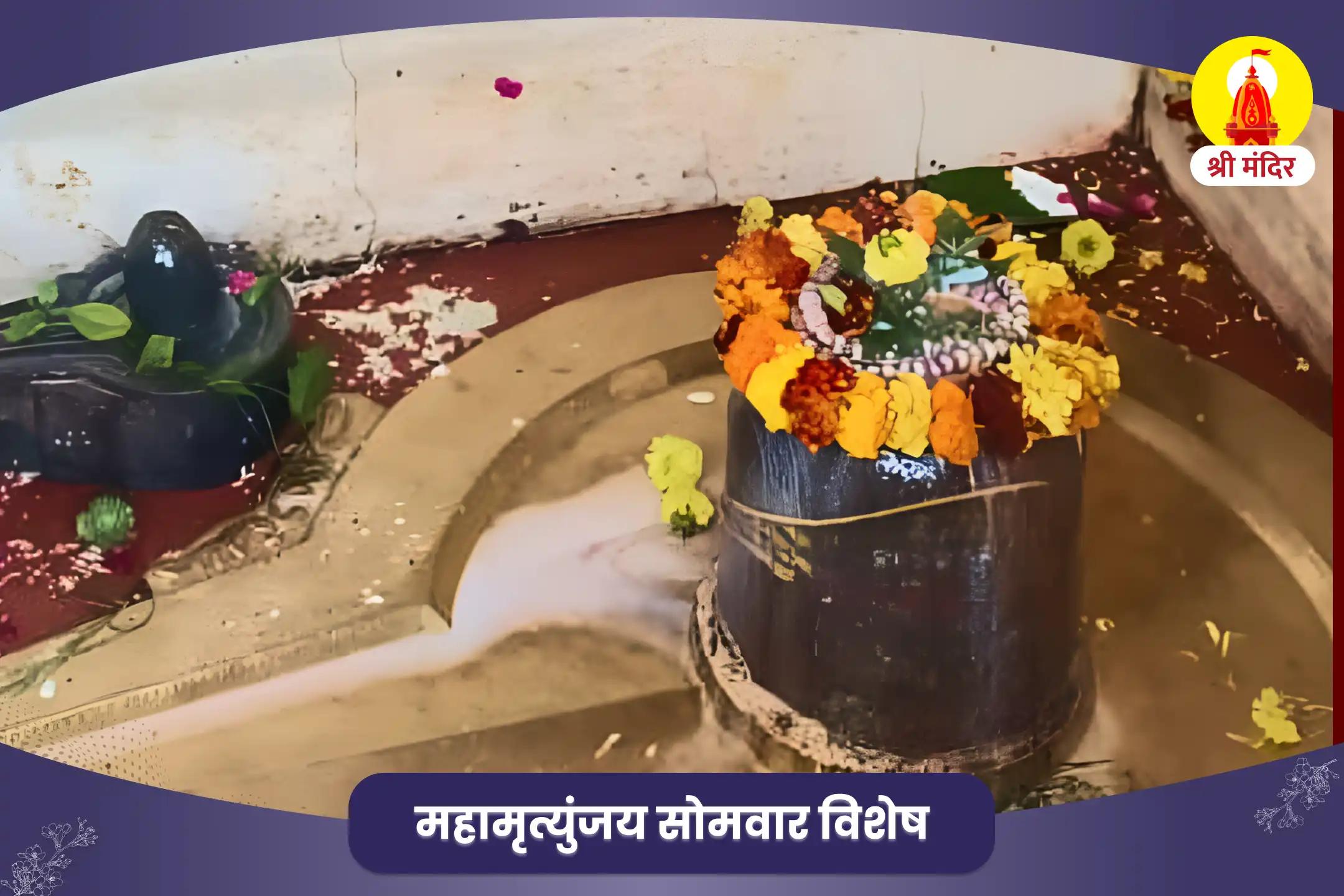 अच्छे स्वास्थ्य एवं असाध्य रोगों से मुक्ति के लिए सोमवार विशेष महामृत्युंजय यज्ञ एवं शिव रूद्राभिषेक