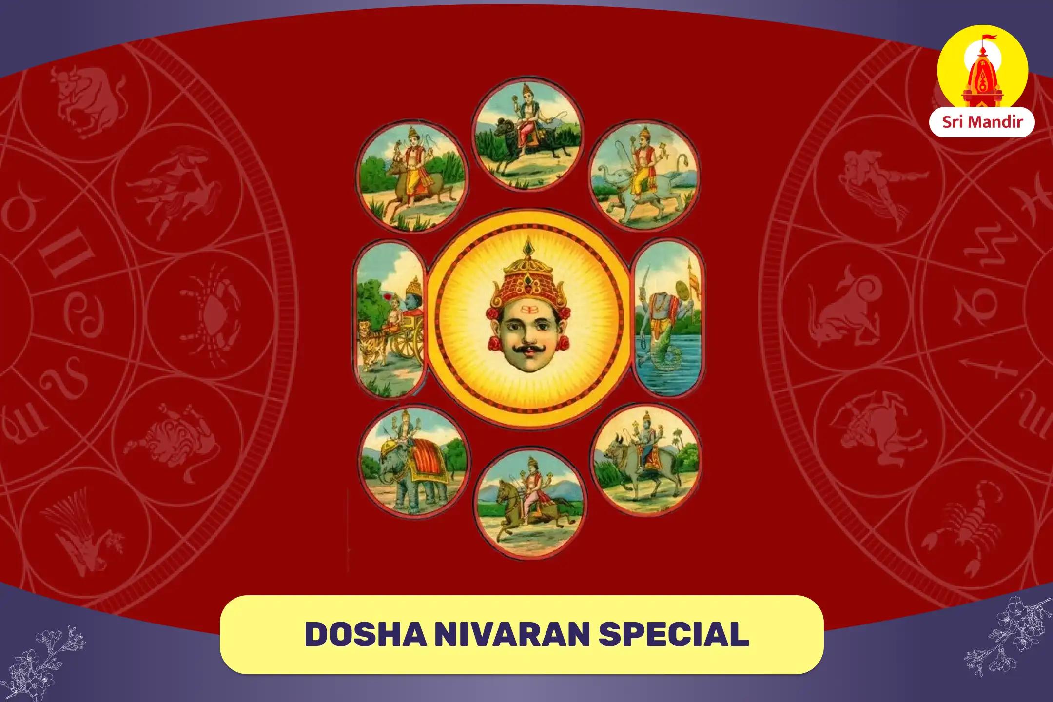 Navagraha Peeda Shanti Mahapuja and Rudrabhishek for Stability in Career and Finances 