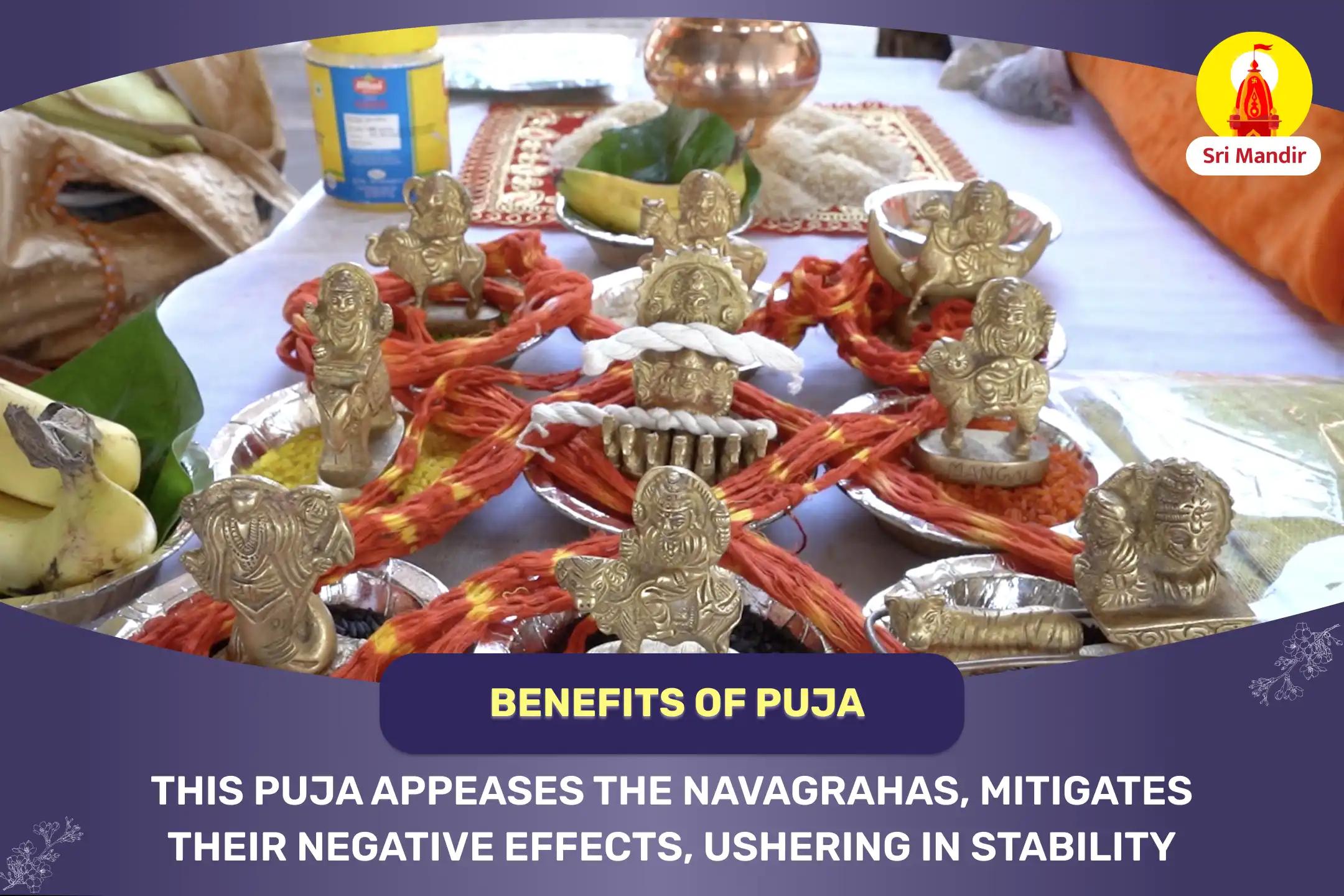 Navagraha Peeda Shanti Mahapuja and Rudrabhishek for Stability in Career and Finances 