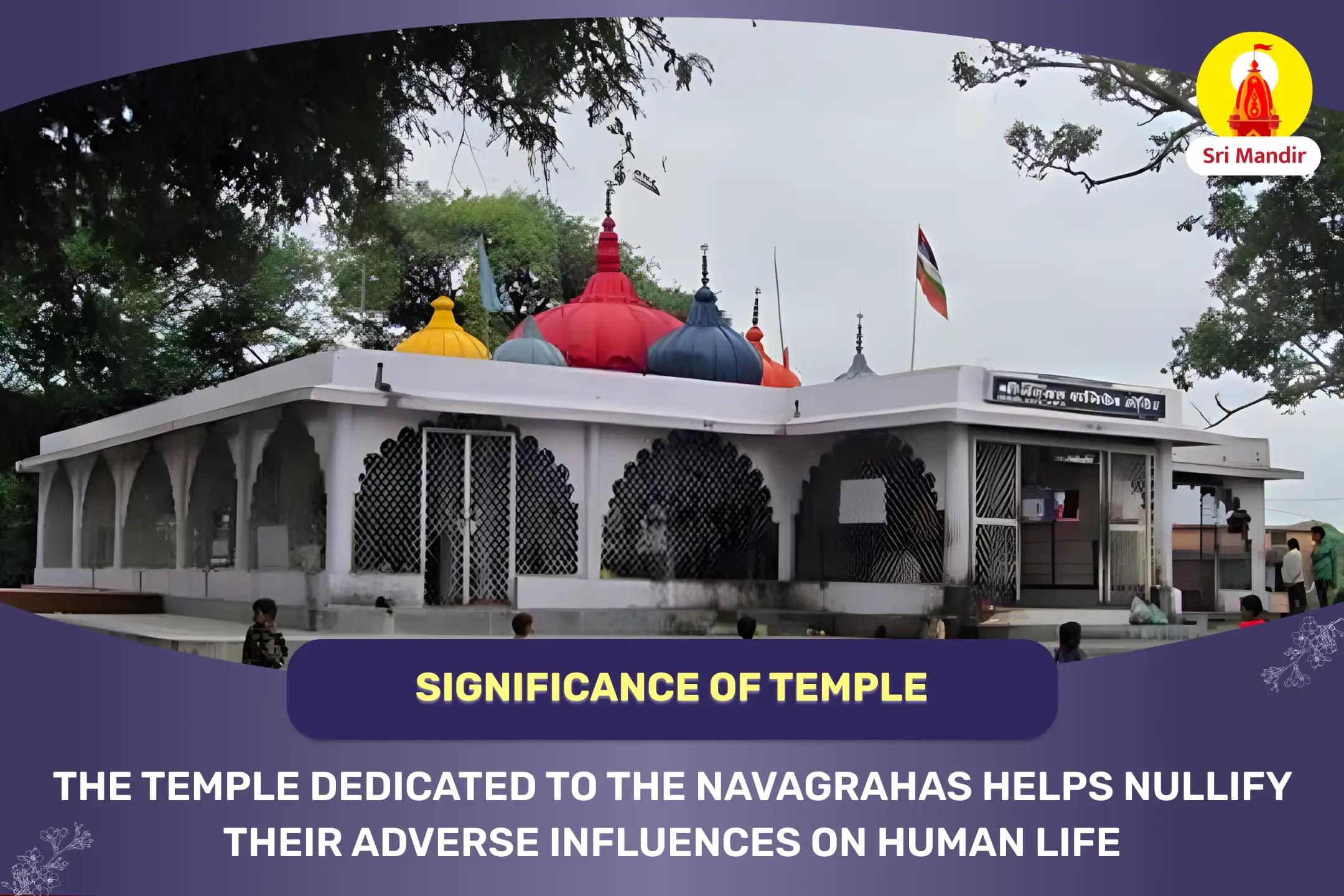 Navagraha Peeda Shanti Mahapuja and Rudrabhishek for Stability in Career and Finances 