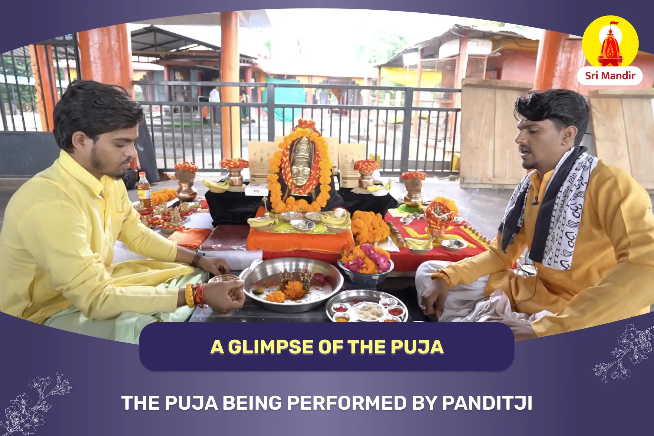 Navagraha Peeda Shanti Mahapuja and Rudrabhishek for Stability in Career and Finances 