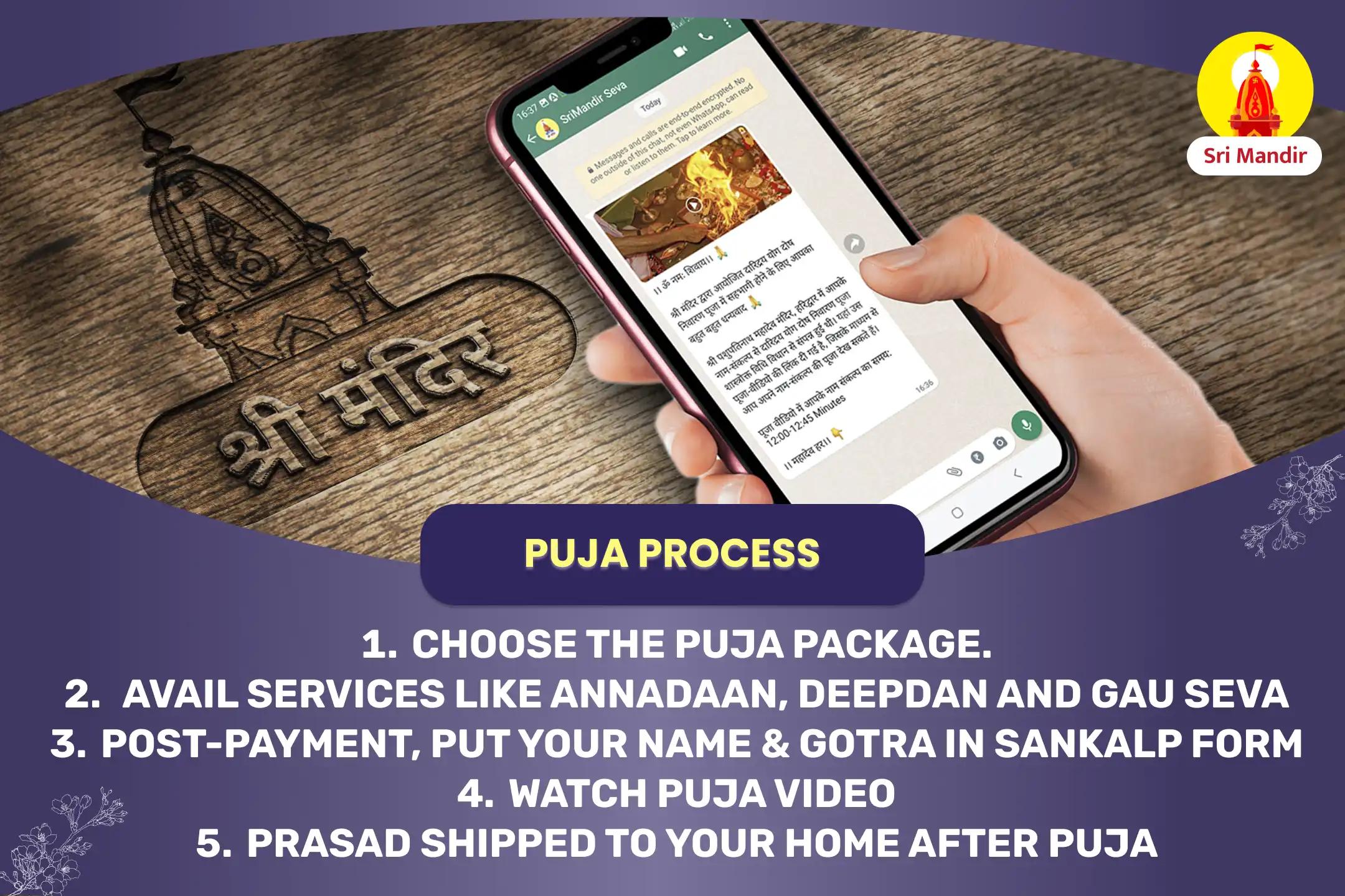 Navagraha Peeda Shanti Mahapuja and Rudrabhishek for Stability in Career and Finances 