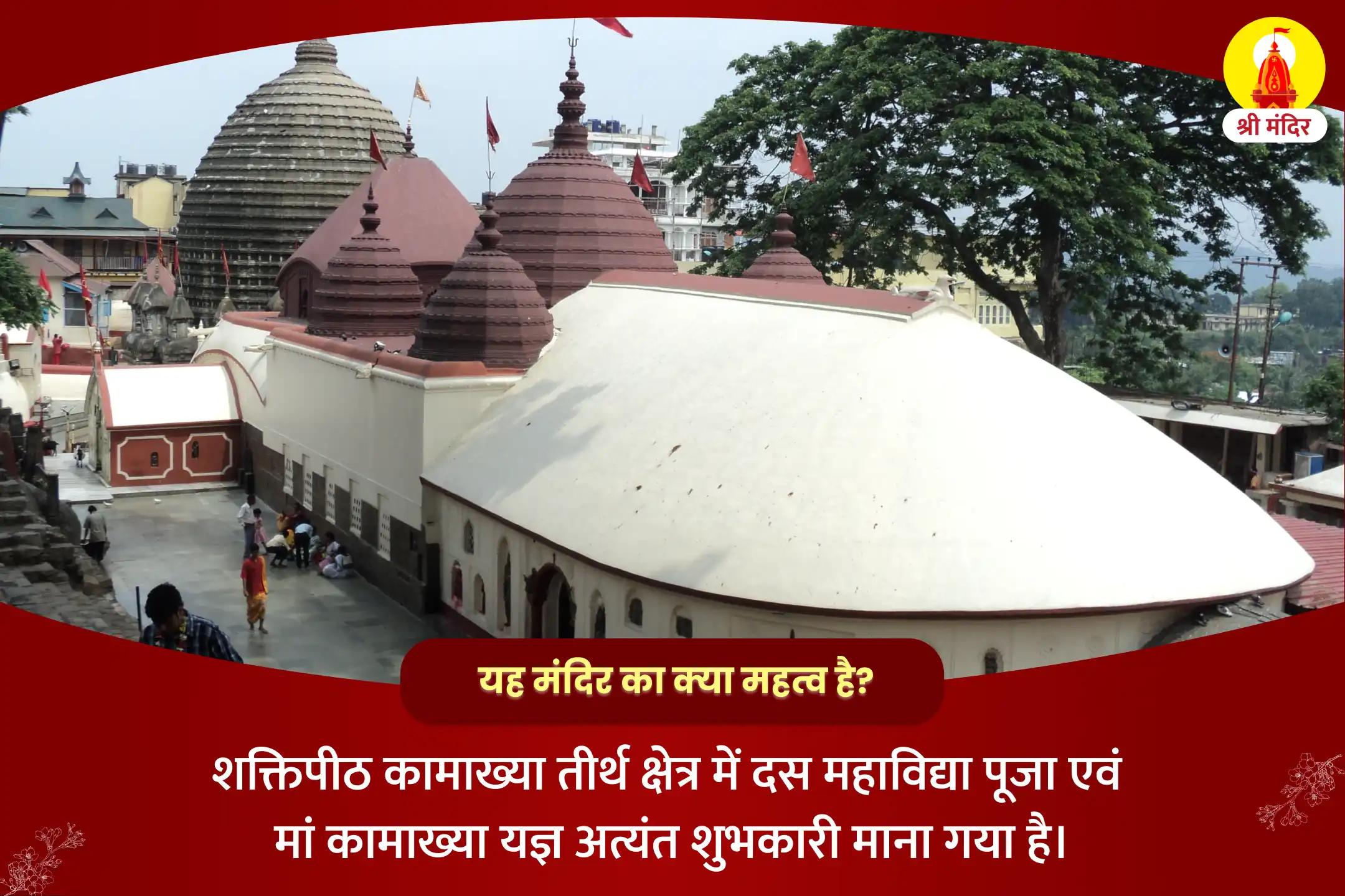 मानसिक एवं शारीरिक स्वास्थ्य के लिए शक्तिपीठ विशेष दस महाविद्या पूजा एवं मां कामाख्या यज्ञ