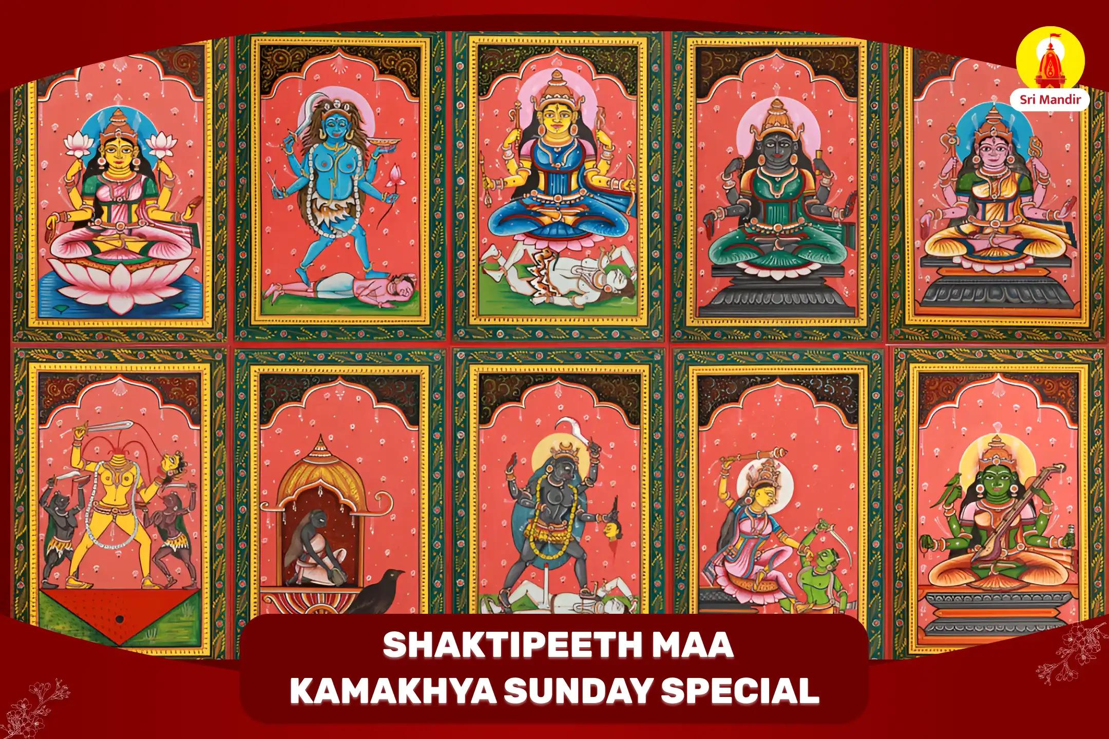 Shaktipeeth Special 10 Mahavidya Puja and Maa Kamakhya Yagya For Mental and Physical Well-being